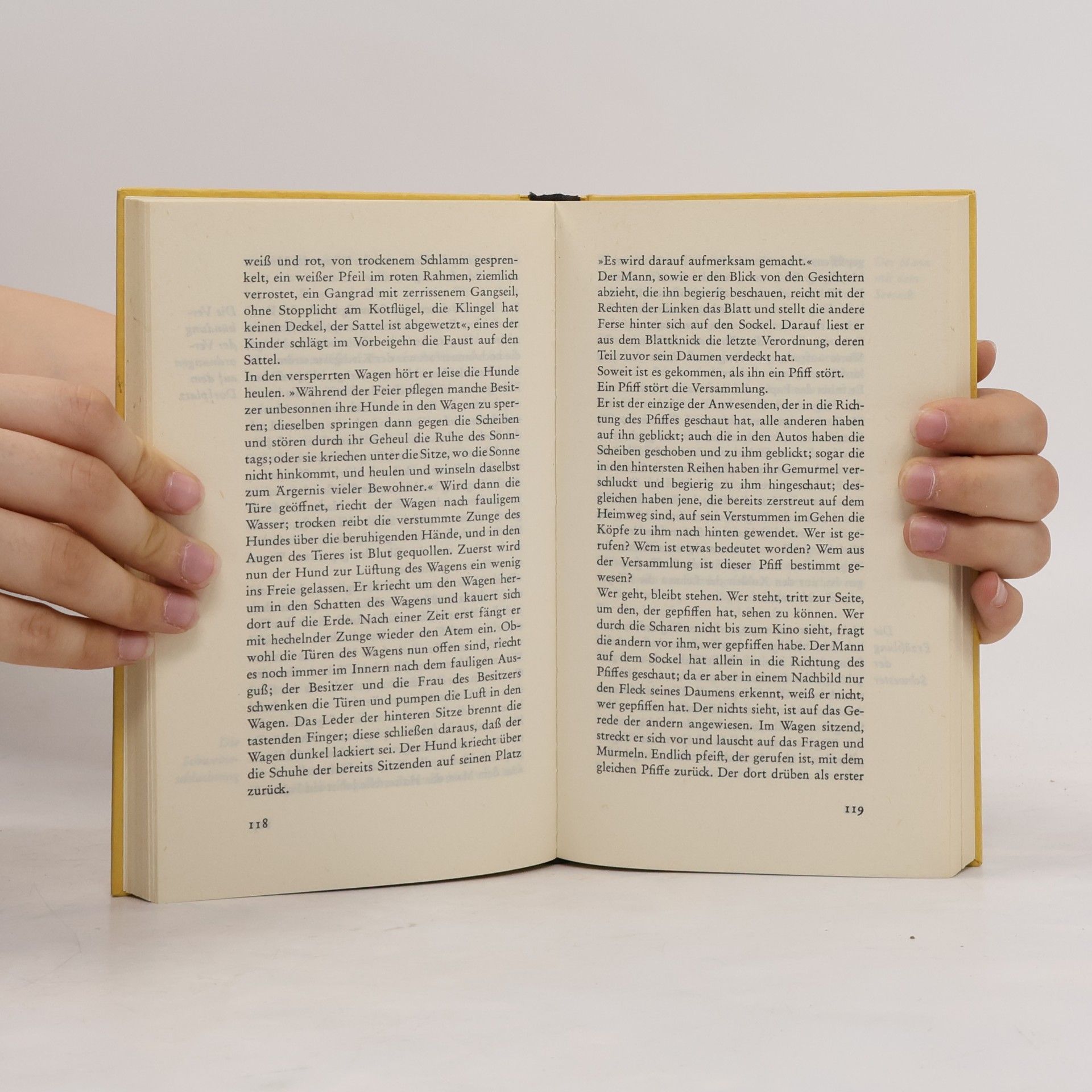Peter Handke Die Hornissen