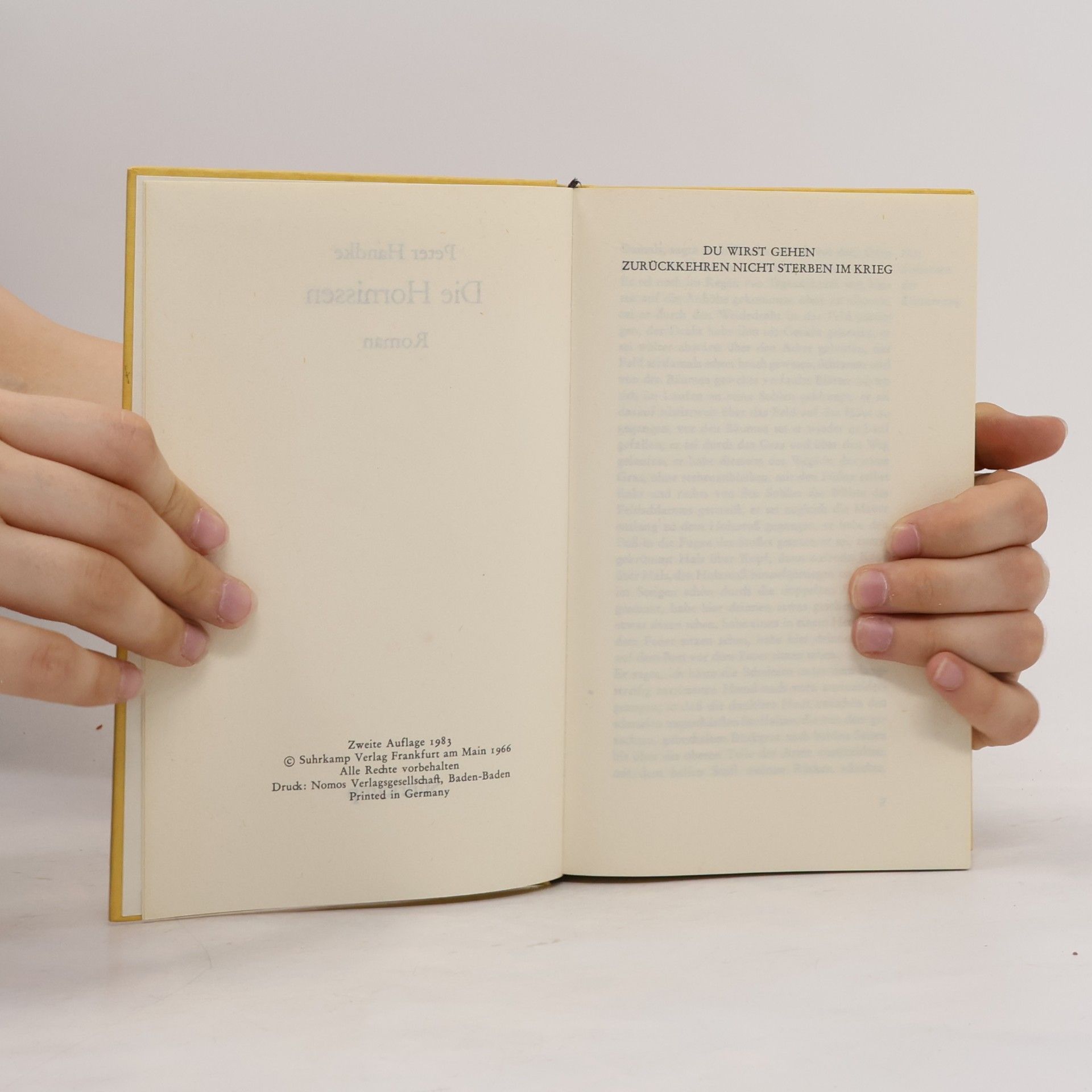 Peter Handke Die Hornissen