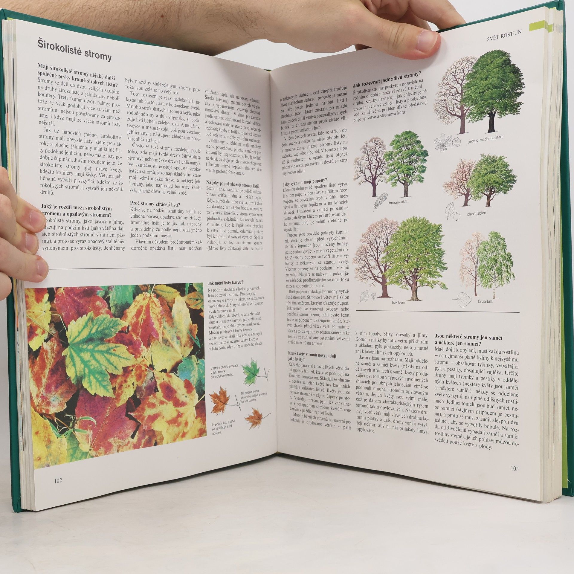 Various authors ABC přírody. Svět v otázkách a odpovědích