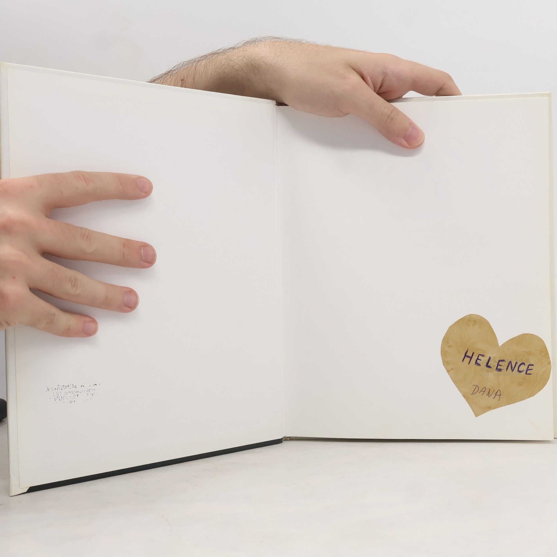 Paula Wood Vlasy a účesy