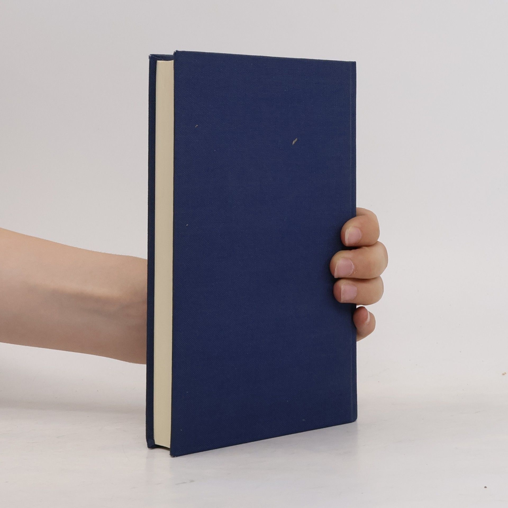 Peter Handke Langsame Heimkehr