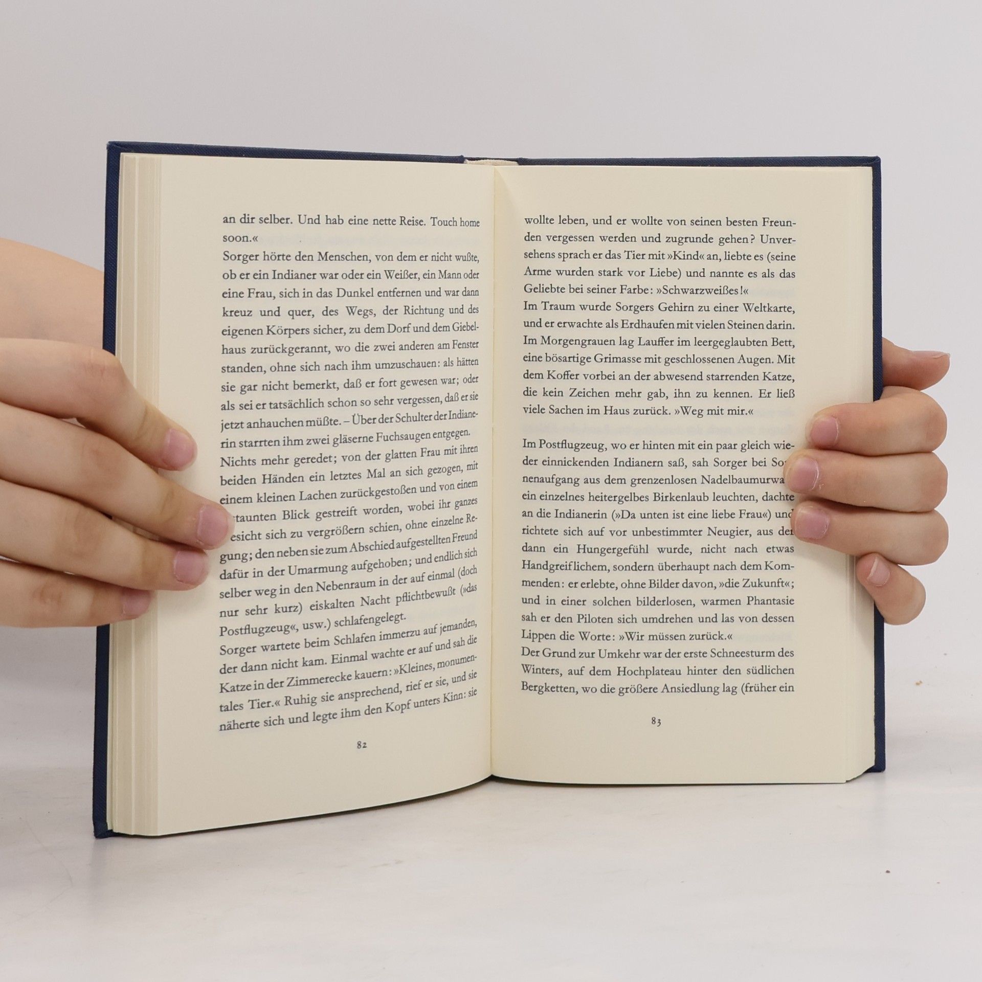 Peter Handke Langsame Heimkehr