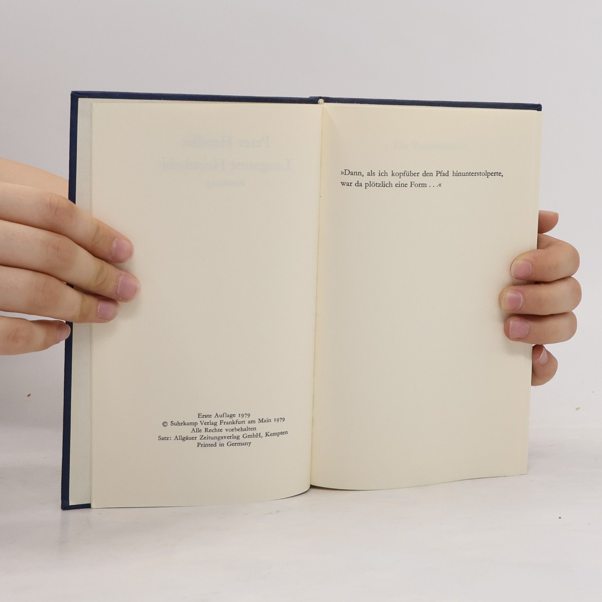 Peter Handke Langsame Heimkehr
