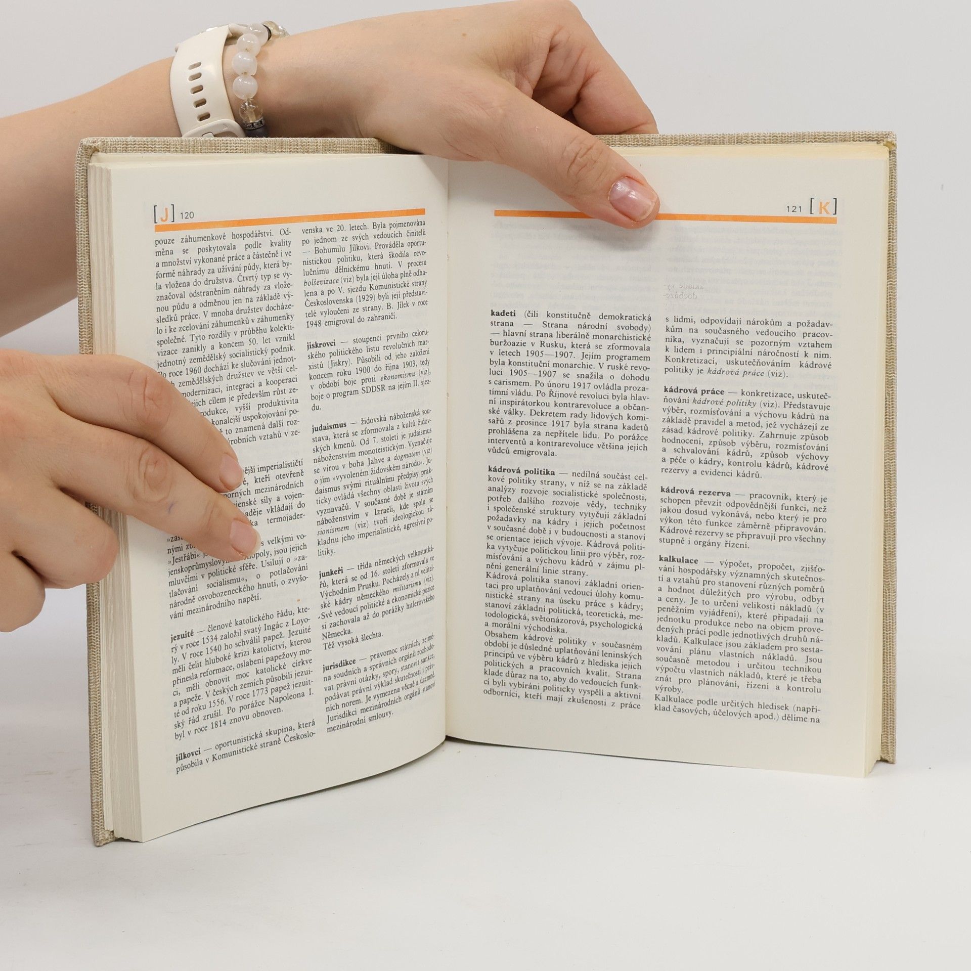 Various authors Stručný politický slovník