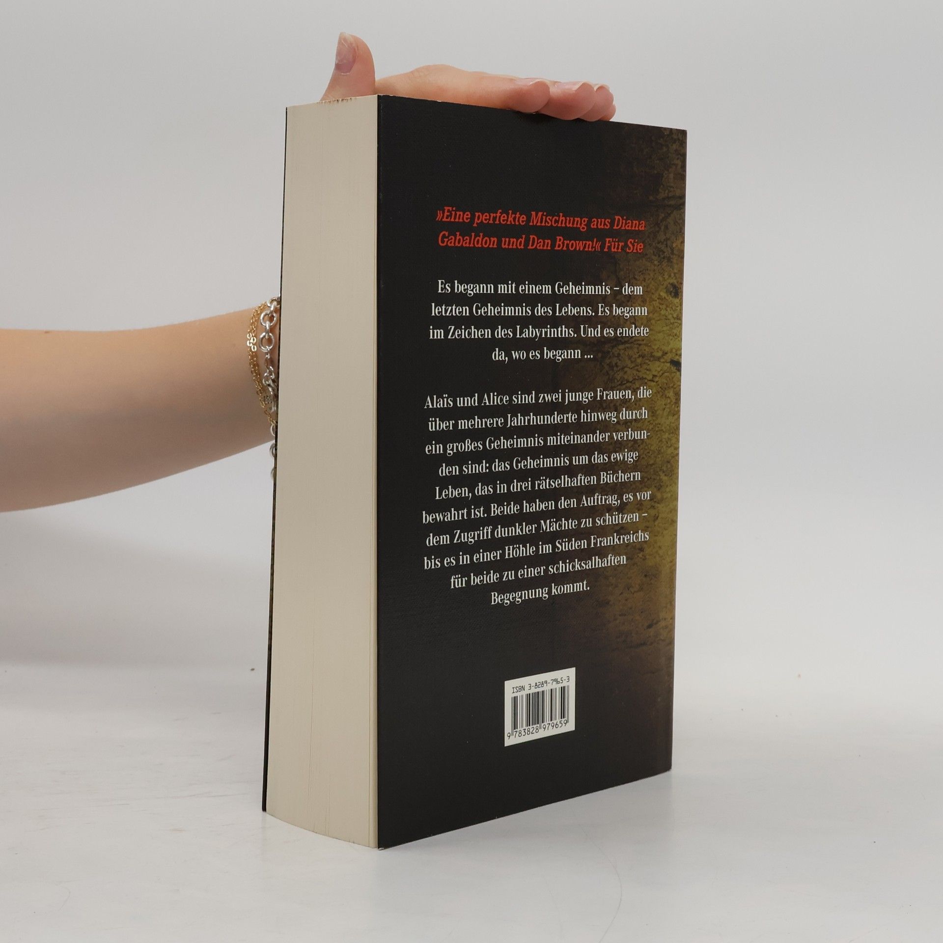 Kate Mosse Das verlorene Labyrinth