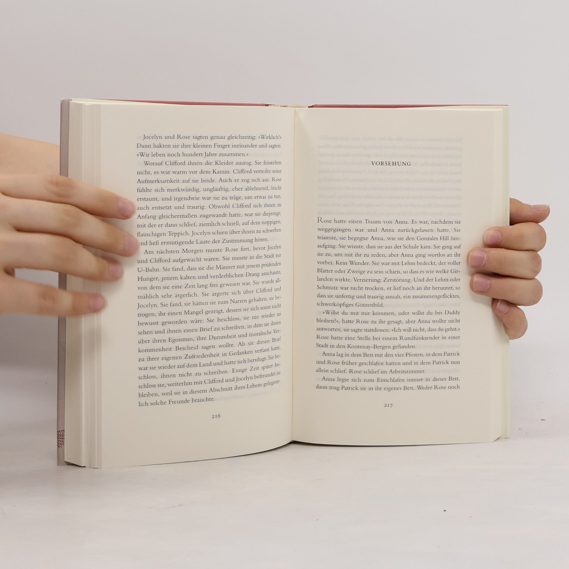 Alice Munro Das Bettlermädchen