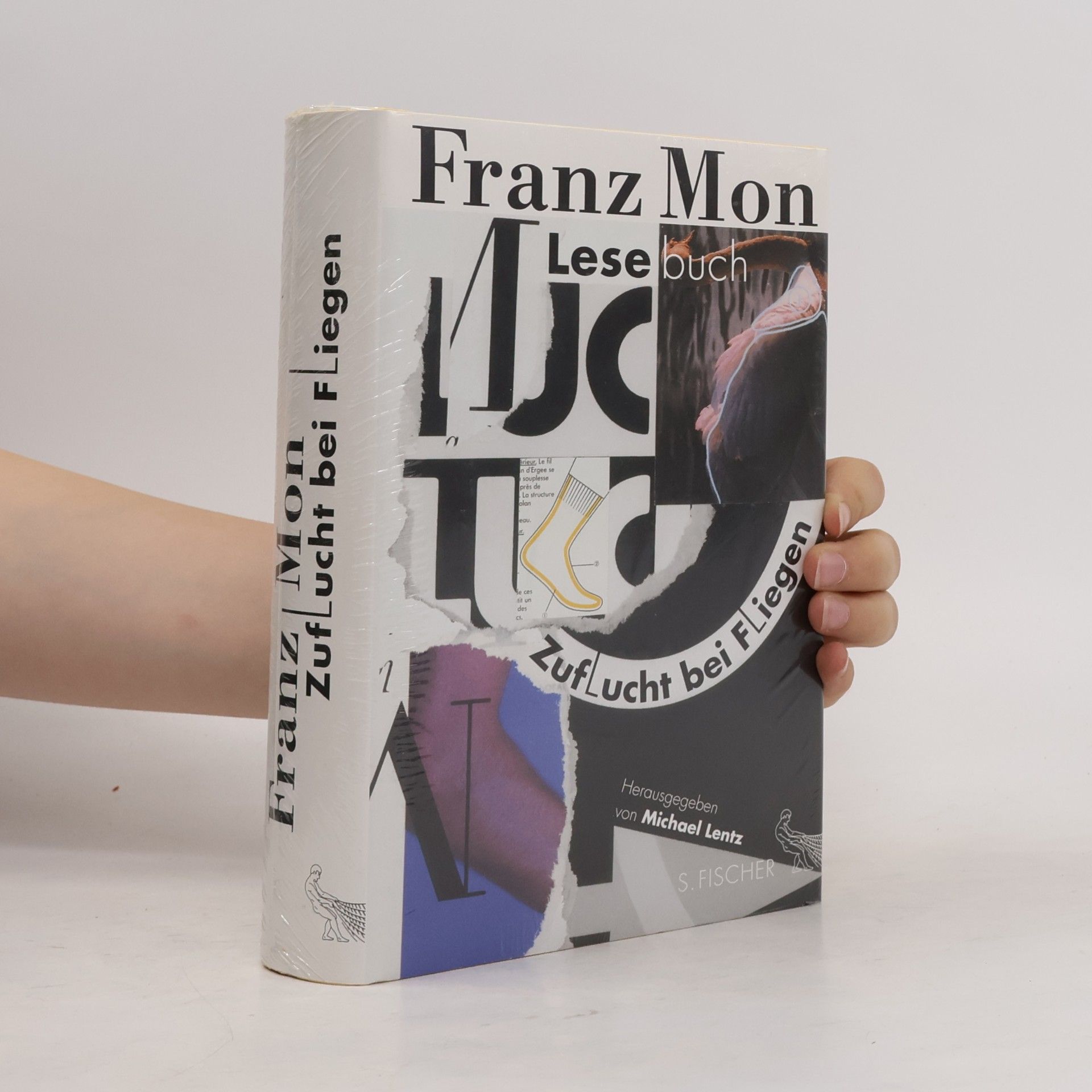 Franz Mon Zuflucht bei Fliegen