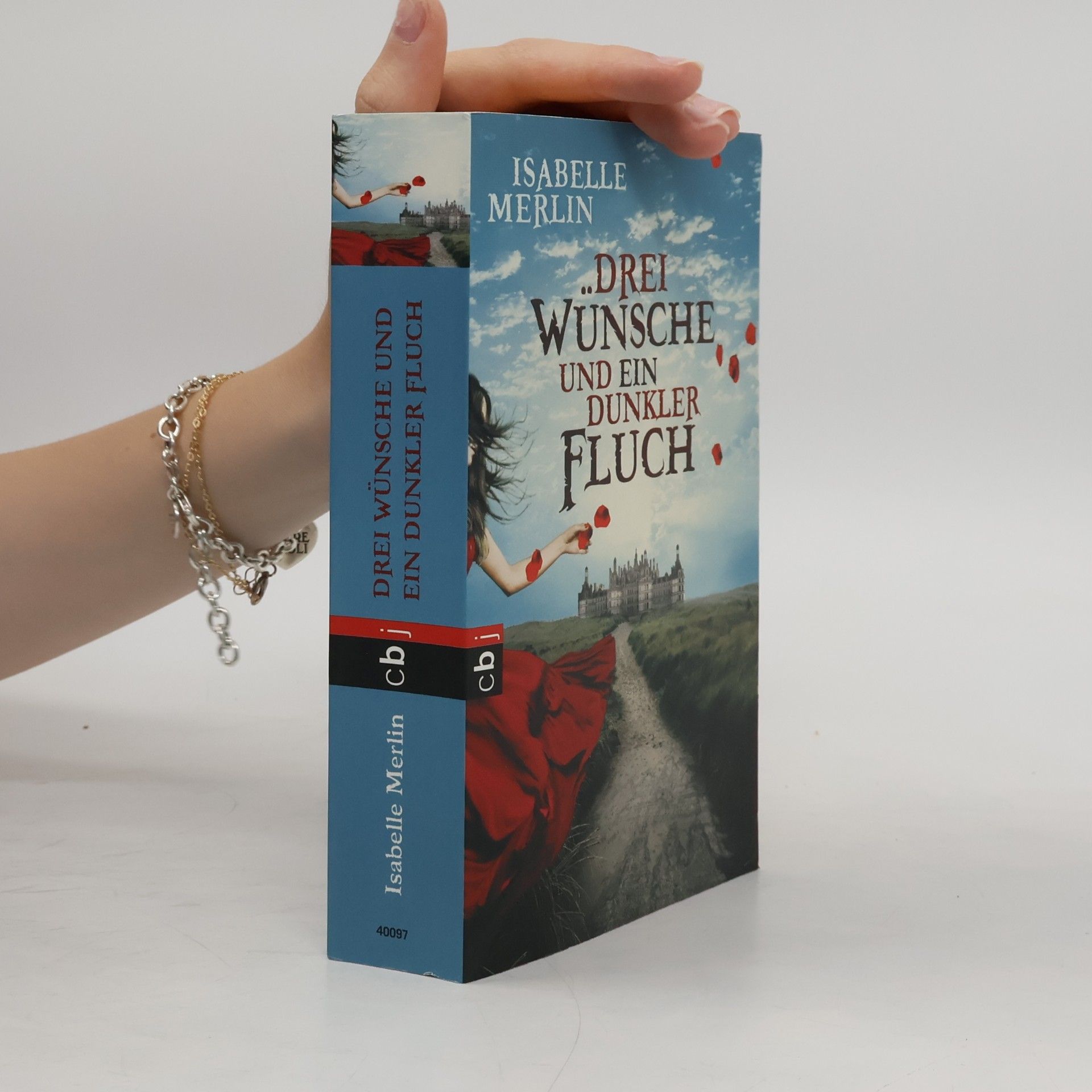Isabelle Merlin Drei Wünsche und ein dunkler Fluch