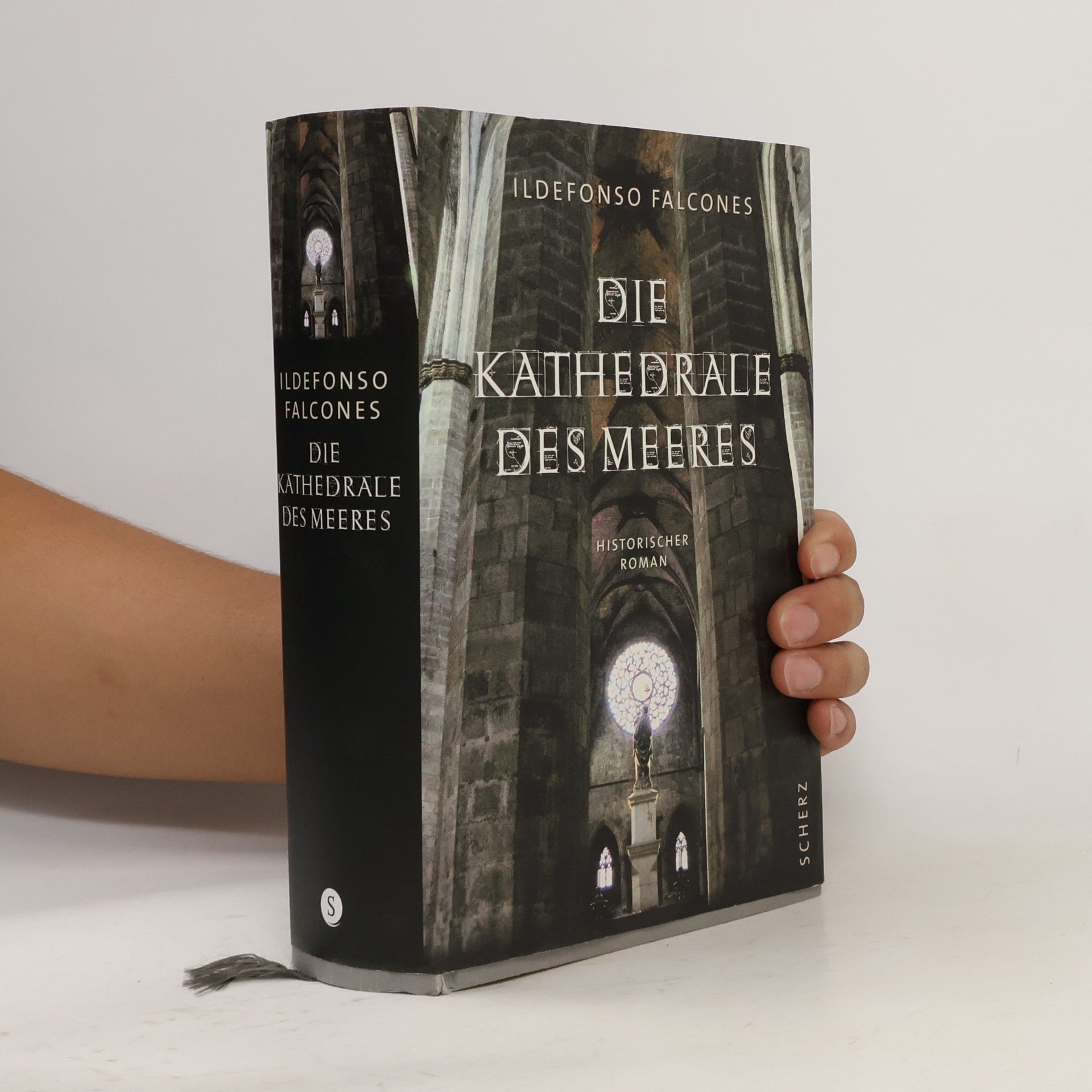 Ildefonso Falcones Die Kathedrale des Meeres