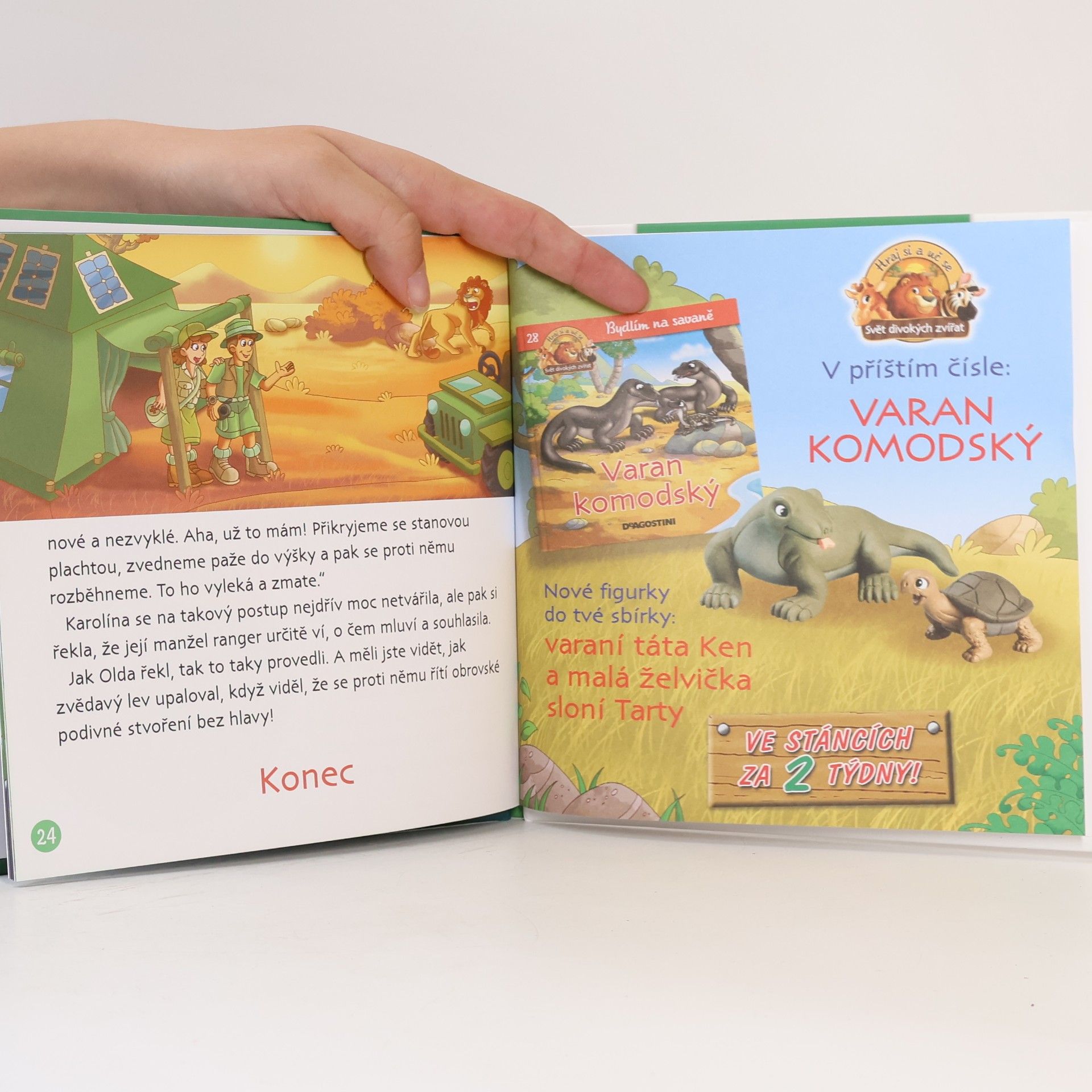 Kolektiv autorů Bydlím v lese 27. Orangutan bornejský