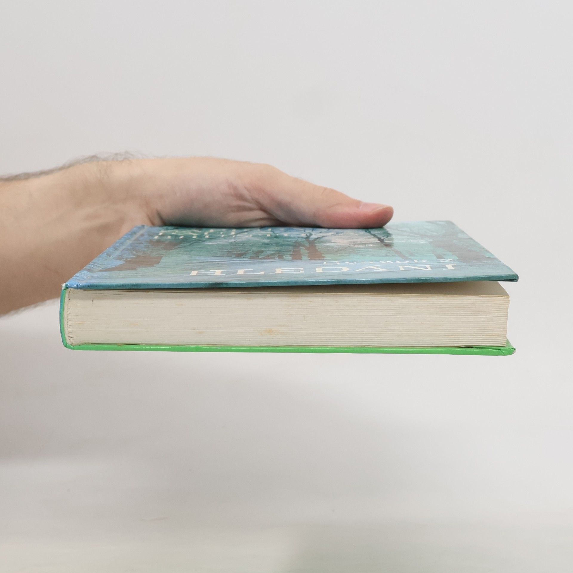 Paul Brunton Zápisky Paula Bruntona. Svazek 2. Hledání