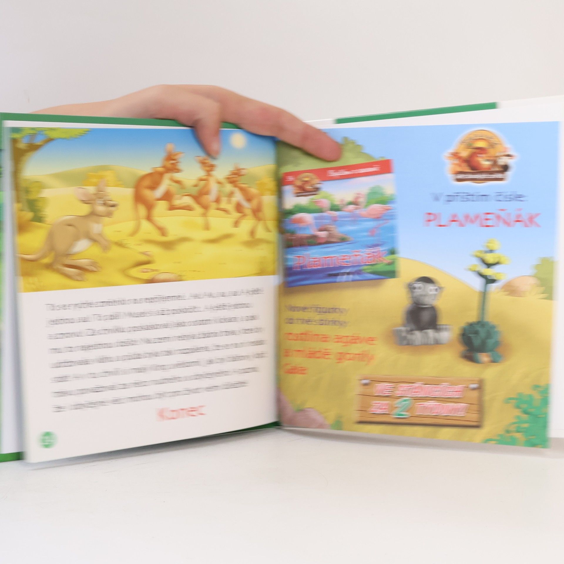 Kolektiv autorů Bydlím v lese 35. Sklípkan