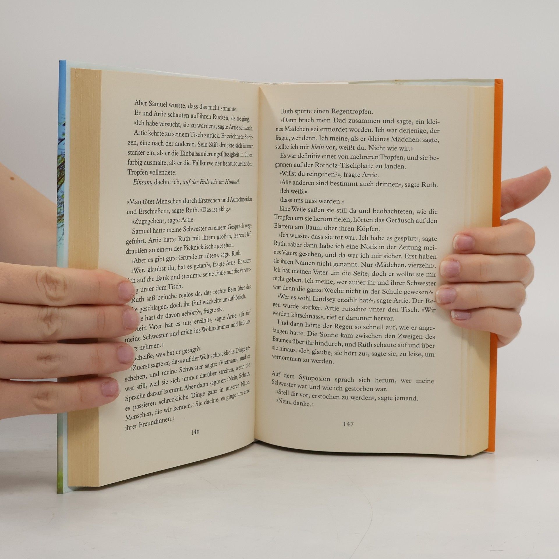 Alice Sebold In meinem Himmel