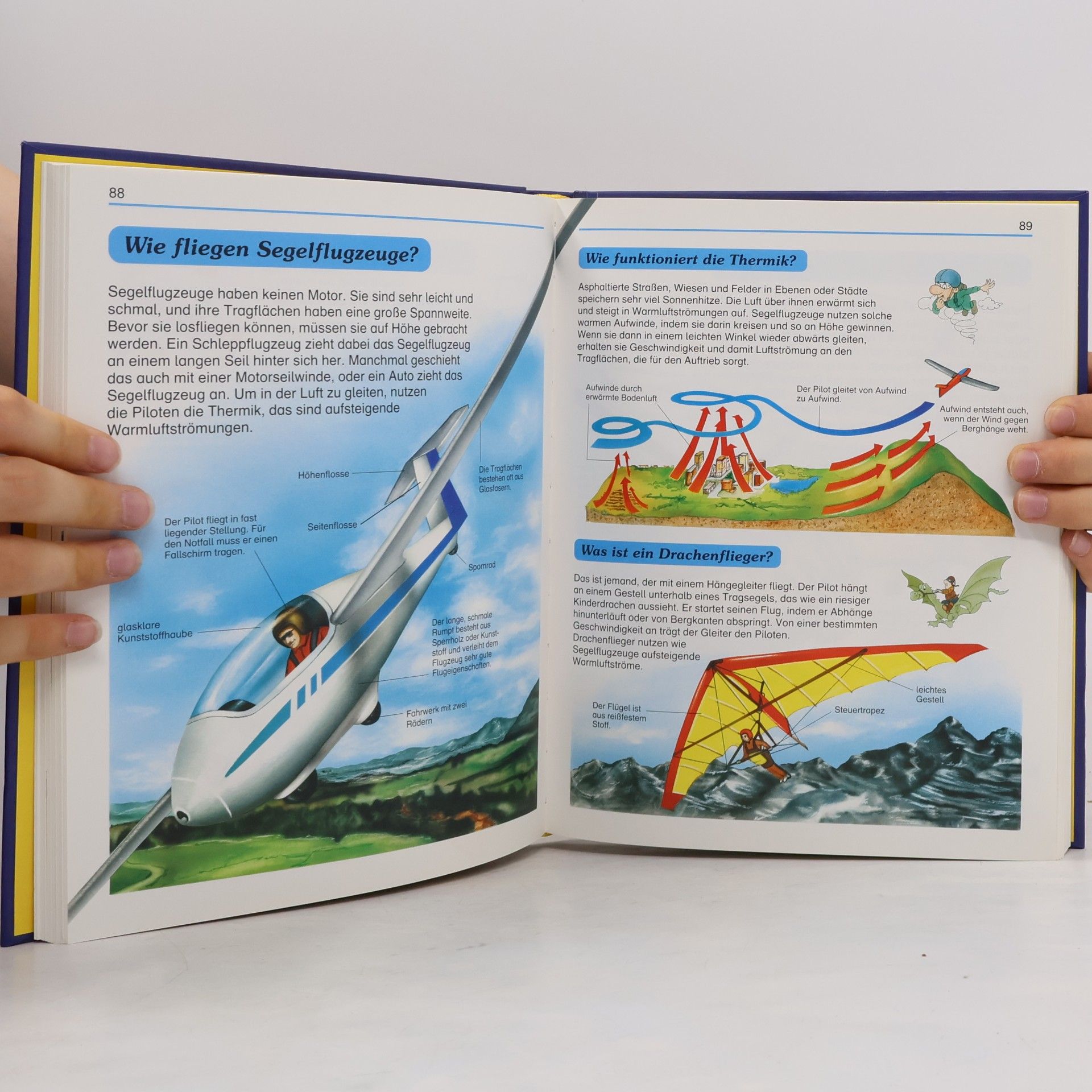 Autorenkollektiv Mein großes Frage- und Antwortbuch