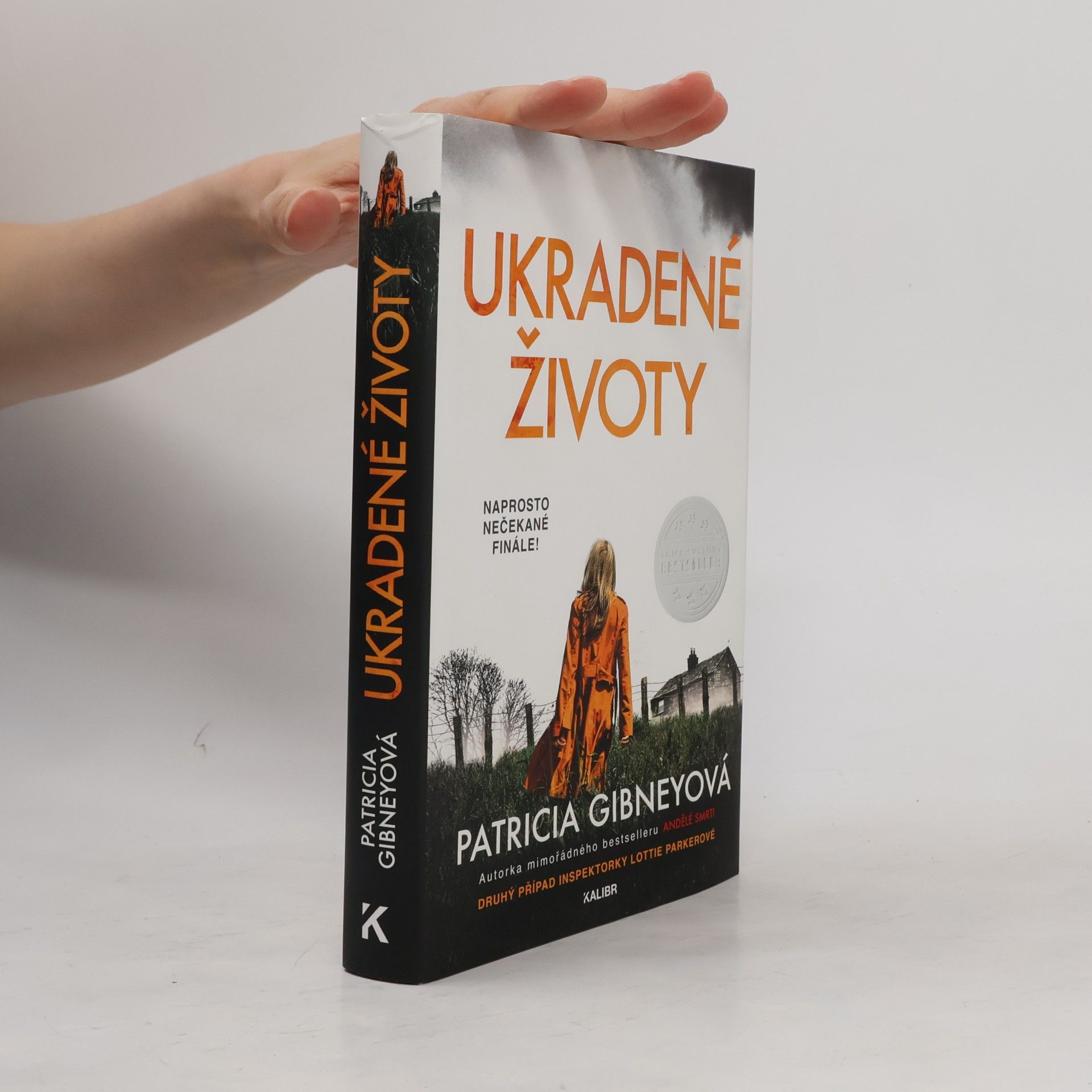 Patricia Gibney Ukradené životy