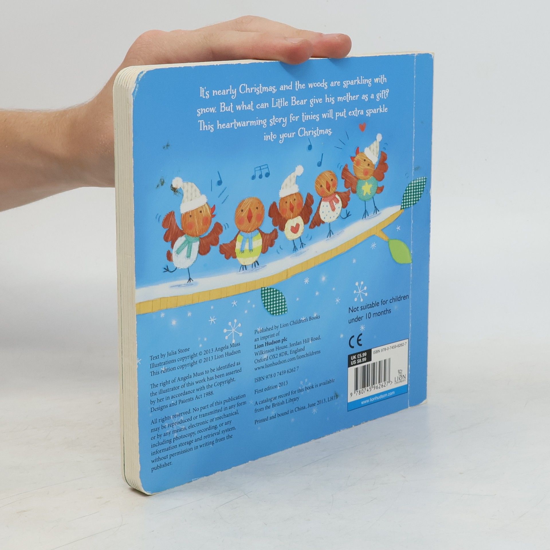 Julia Stone Little Bear's Sparkly Christmas