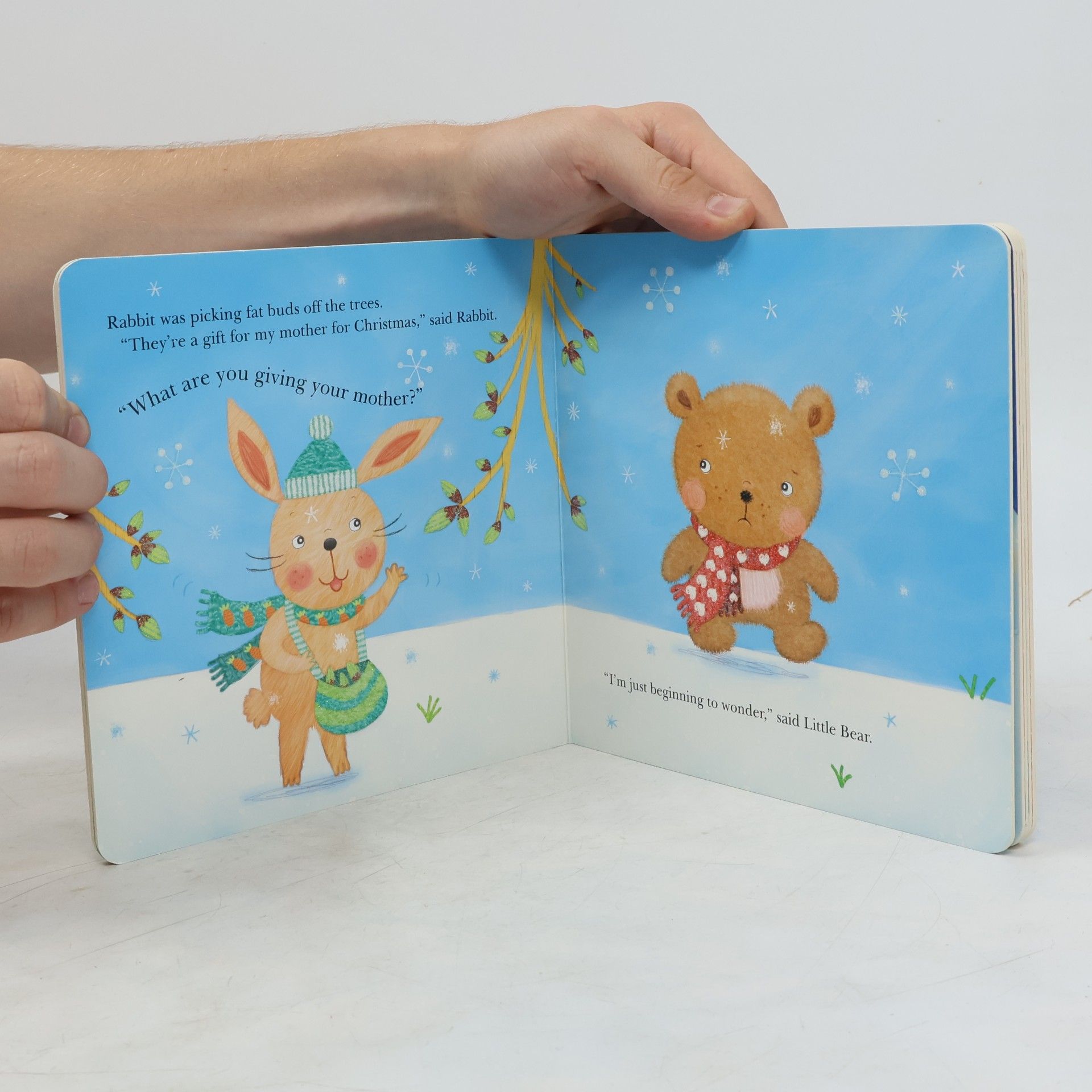 Julia Stone Little Bear's Sparkly Christmas