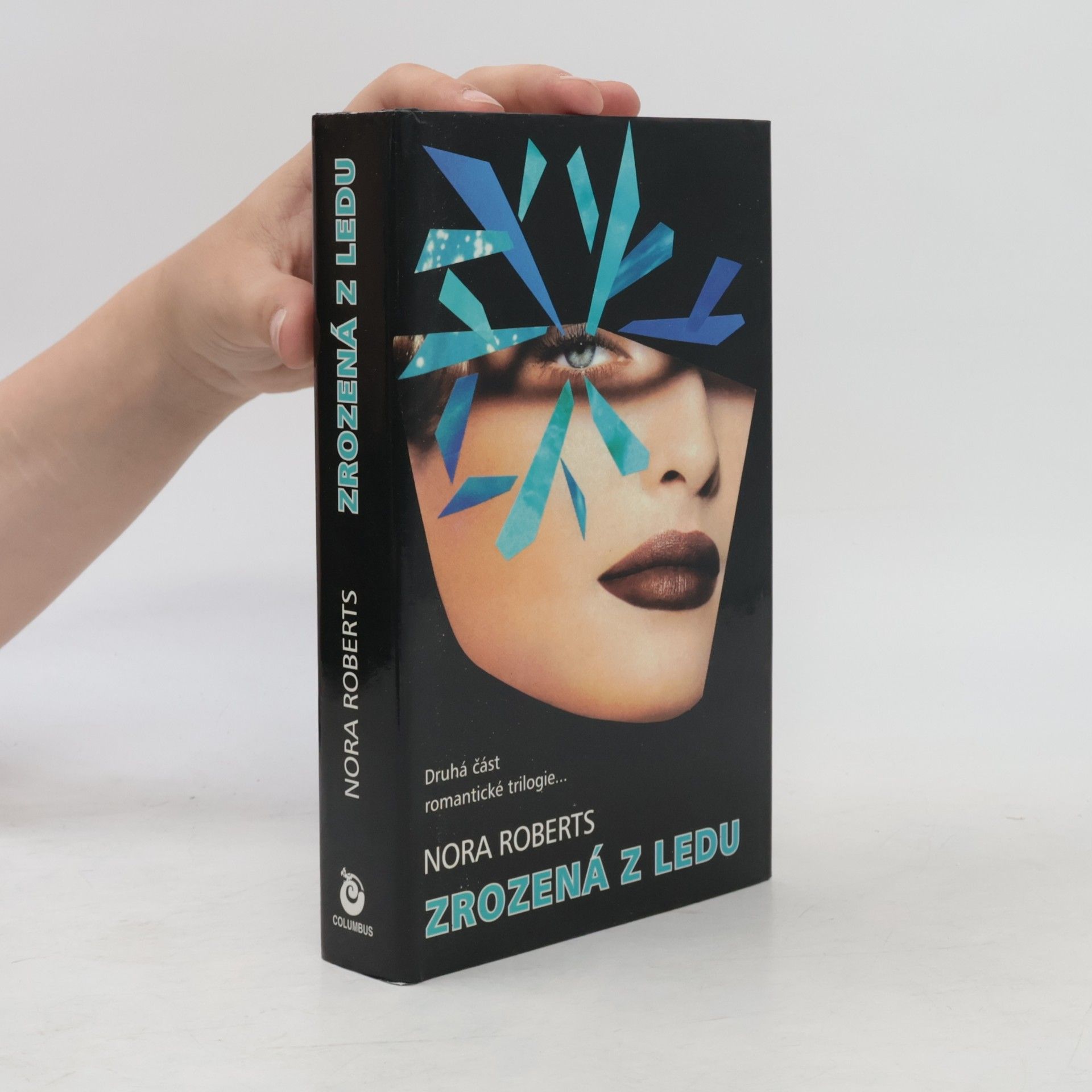Nora Roberts Zrozená z ledu