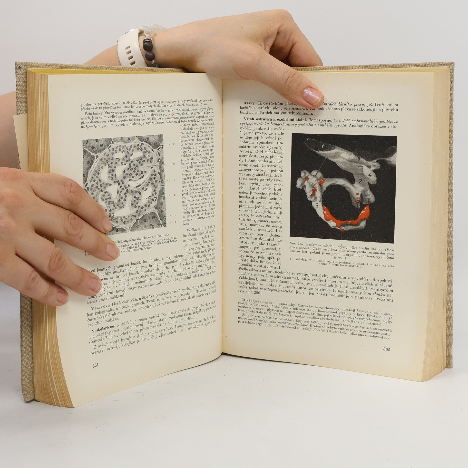 Jan Wolf Učebnice histologie