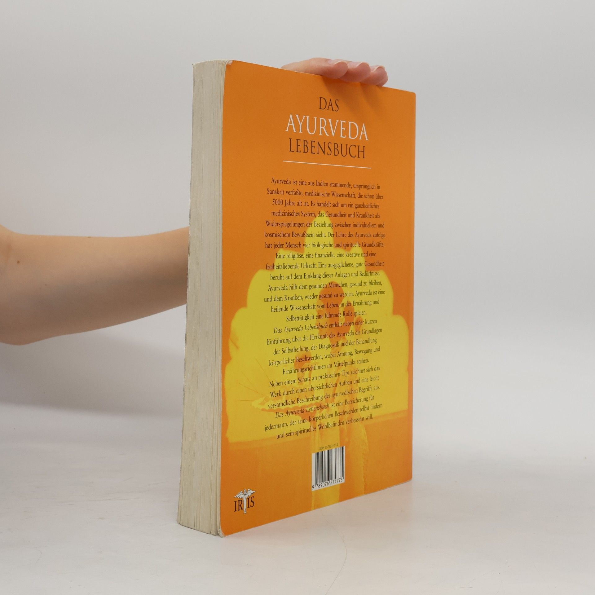 Reinhart Schacker Das grosse Ayurveda-Lebensbuch
