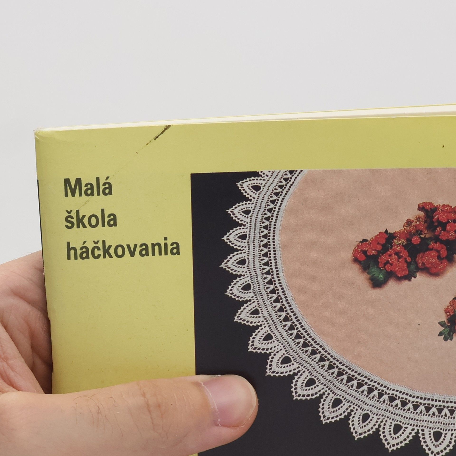 Agáta Hudáková Malá škola háčkovania