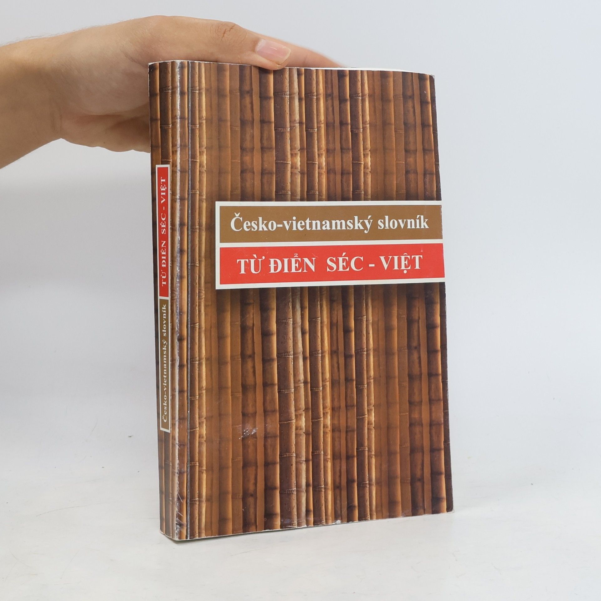 Kolektiv autorů Česko-vietnamský slovník