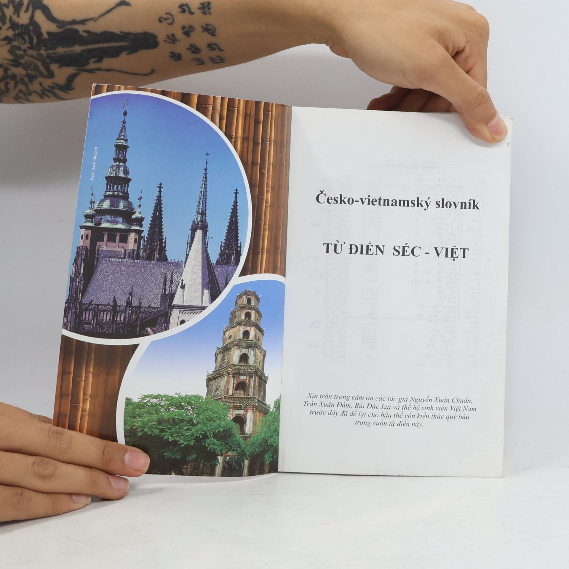 Kolektiv autorů Česko-vietnamský slovník
