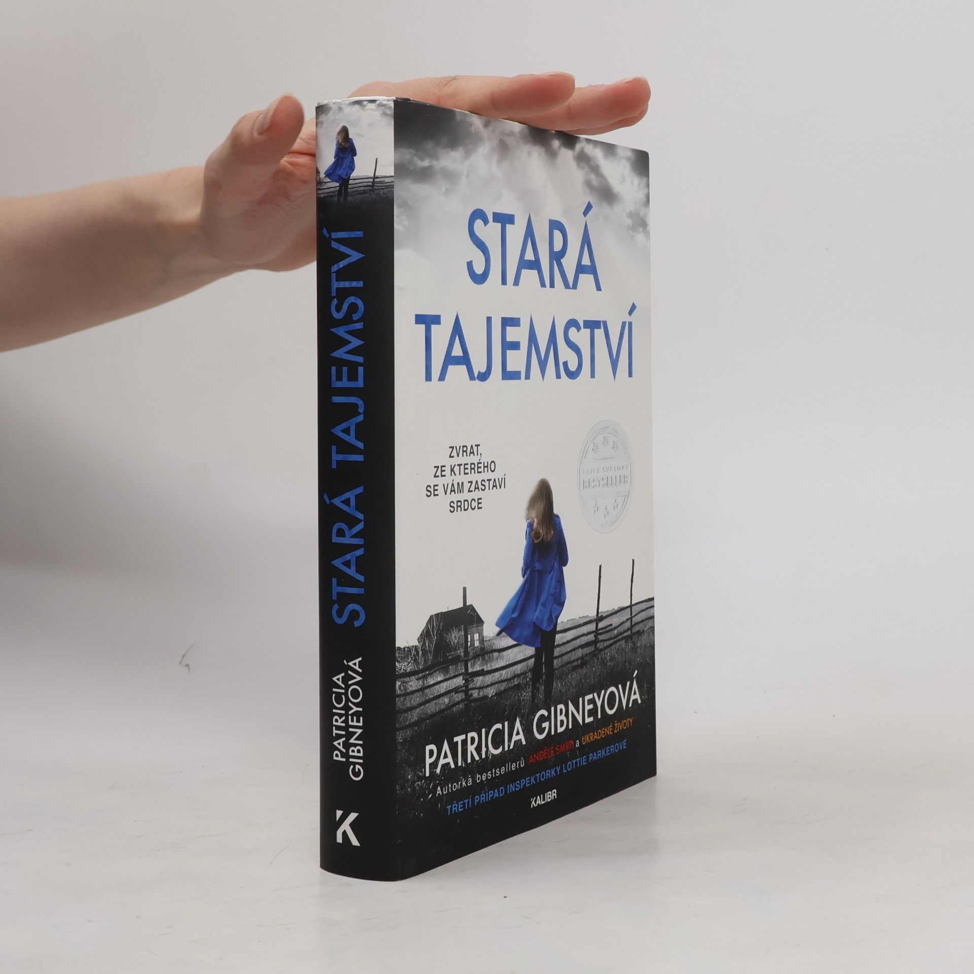 Patricia Gibney Stará tajemství