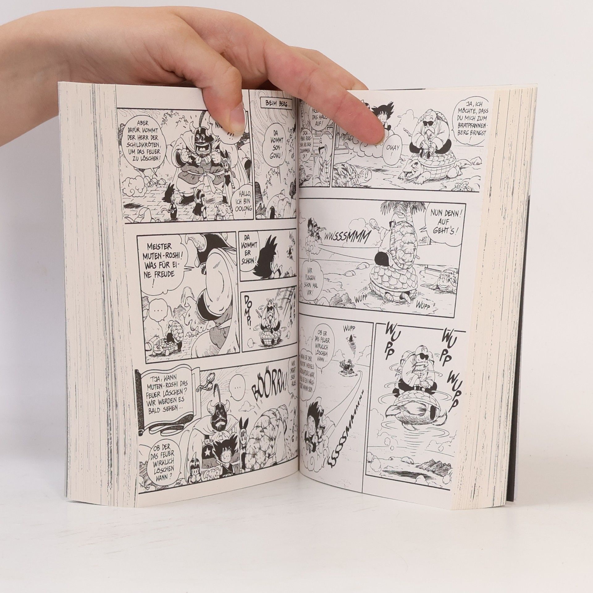 Akira Toriyama Dragon Ball Massiv 1 (3in1): Das Geheimnis der Drachenkugeln. Der Meister des Kamehame-Ha. Kamesennins Kampfschule
