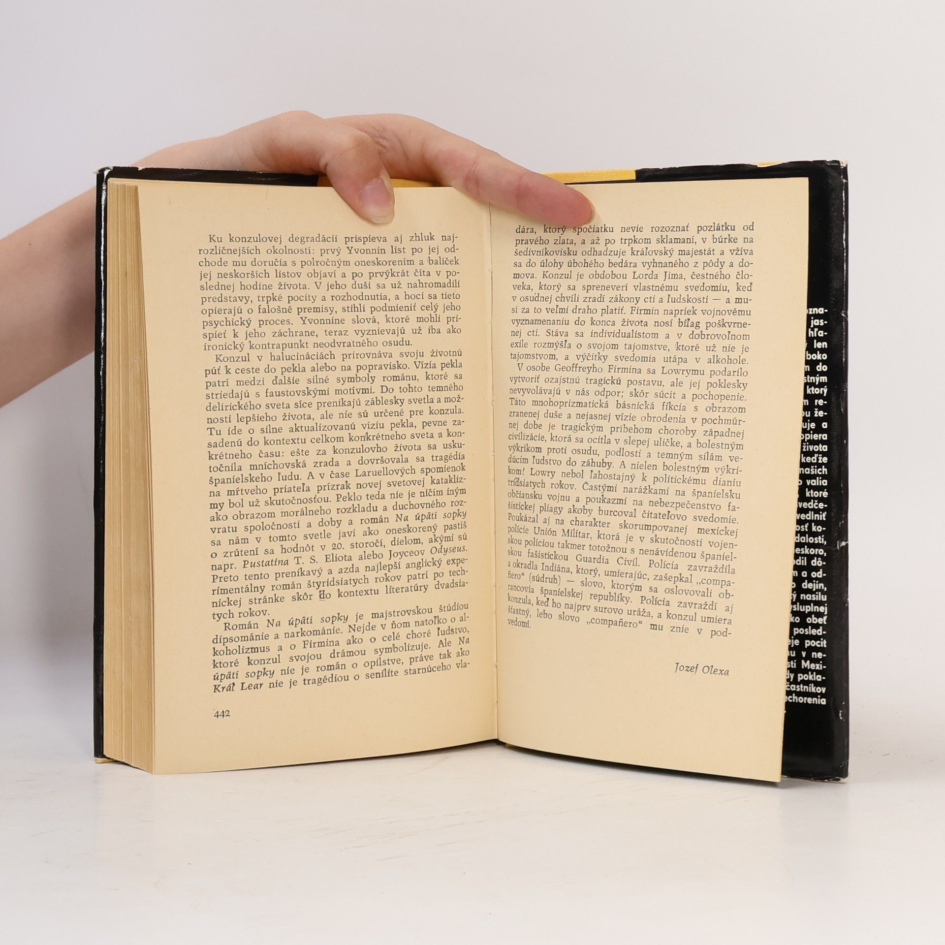 Malcolm Lowry Na úpätí sopky