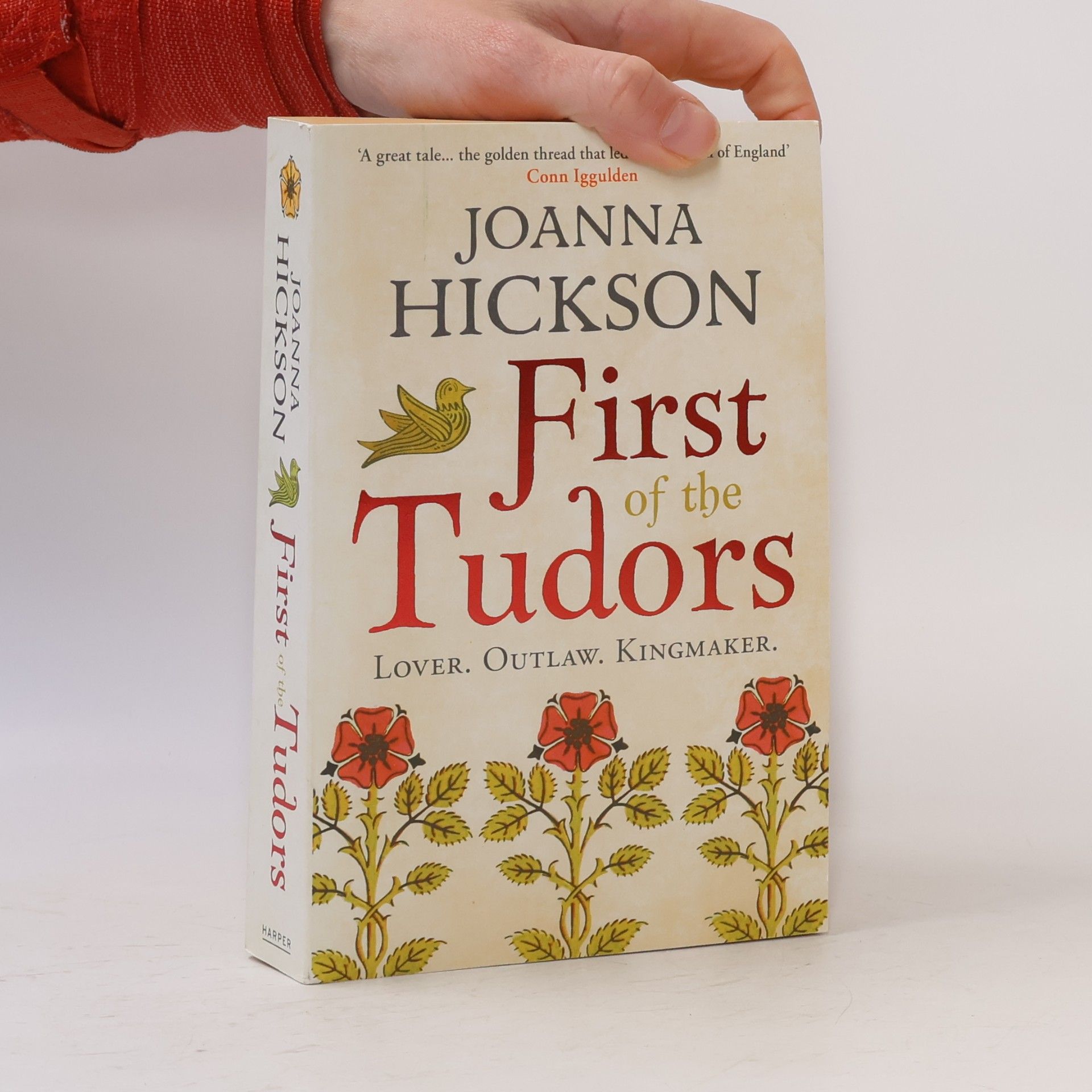 Joanna Hickson First of the Tudors