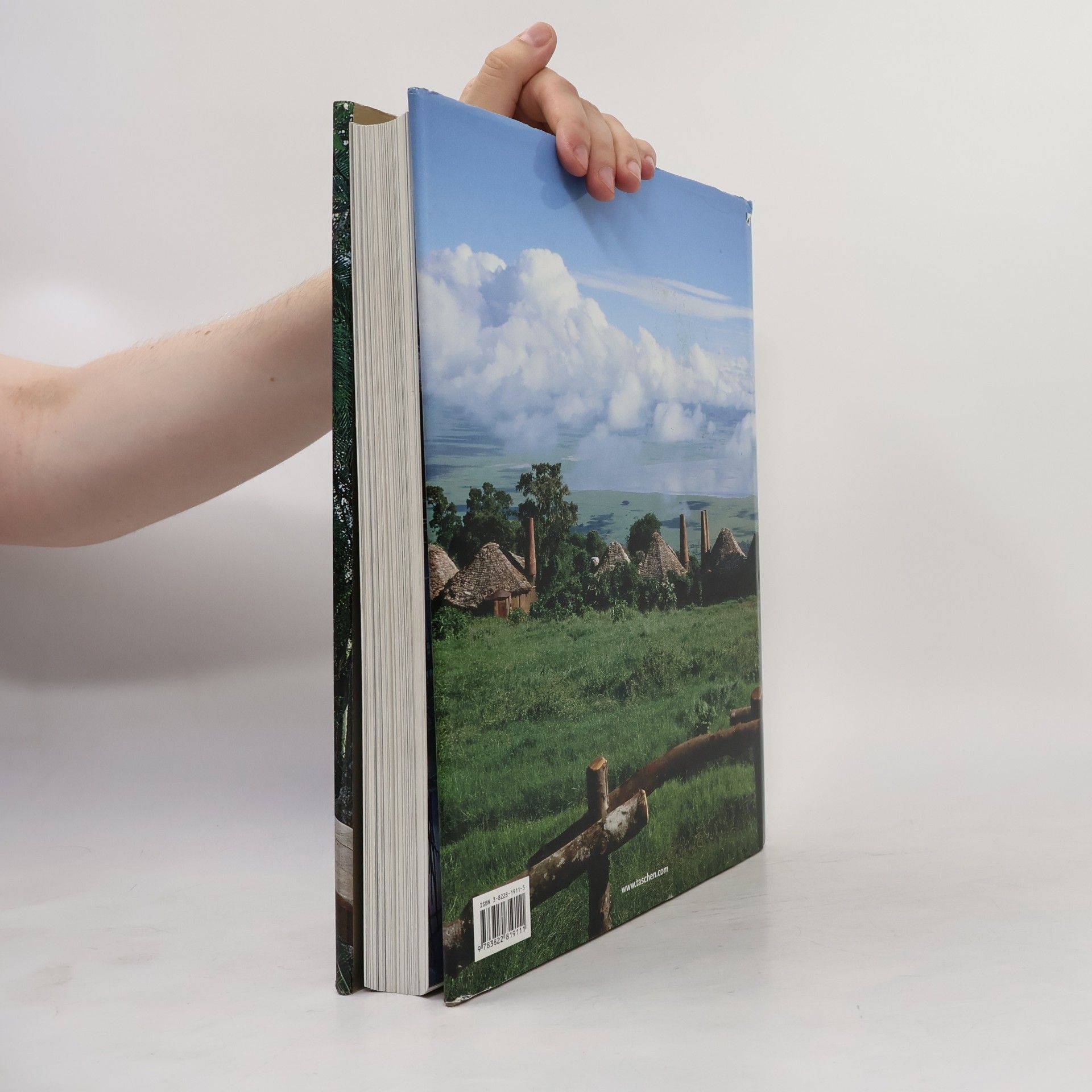 Shelley Maree Cassidy The hotel book. Great escapes Africa