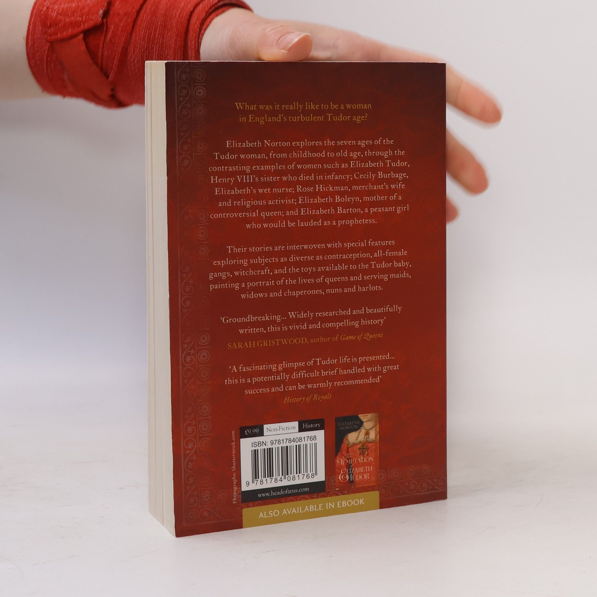 Elizabeth Norton The Lives of Tudor Women