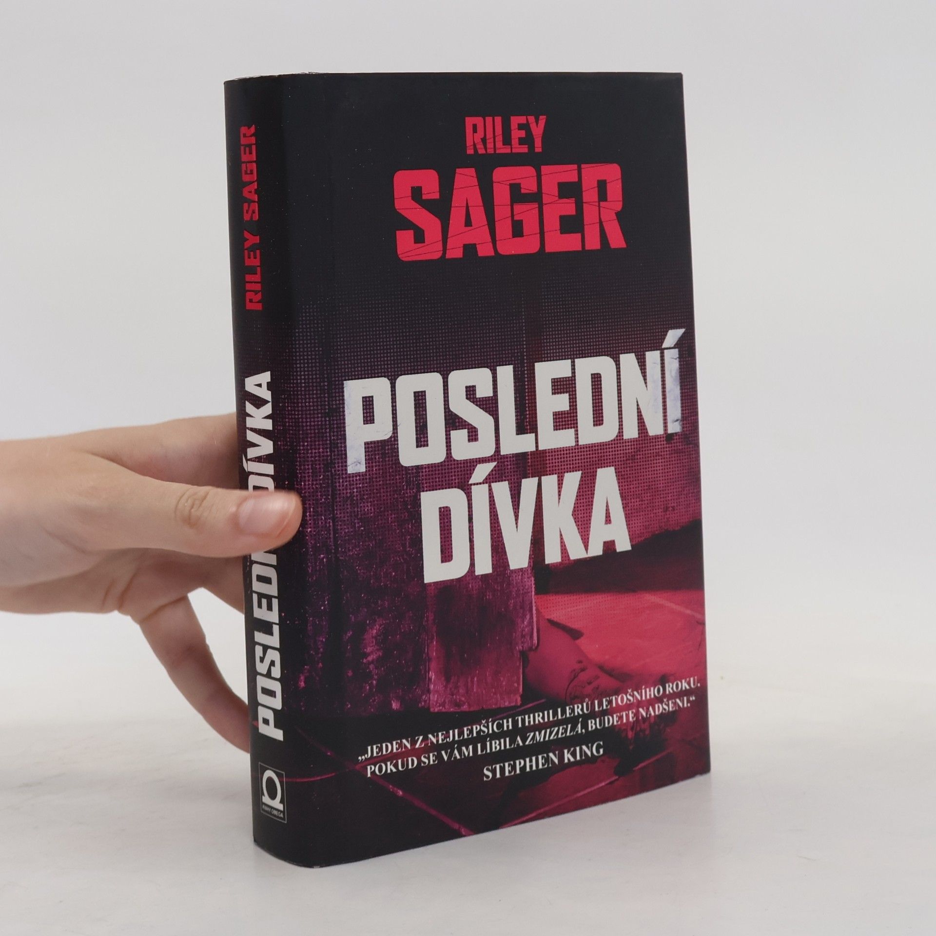 Todd Ritter Poslední dívka