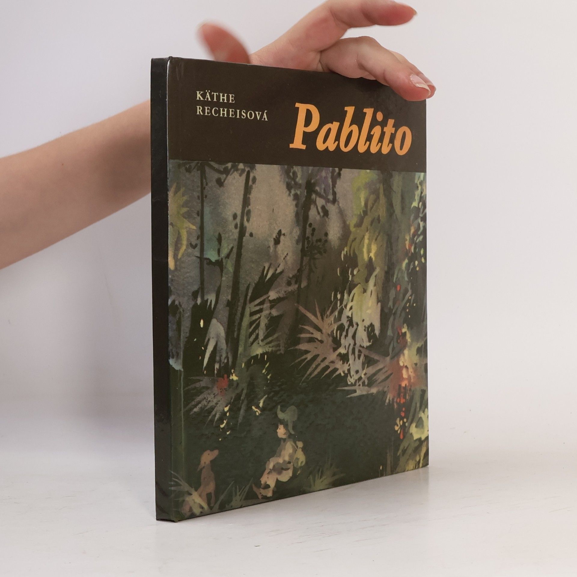 Käthe Recheis Pablito