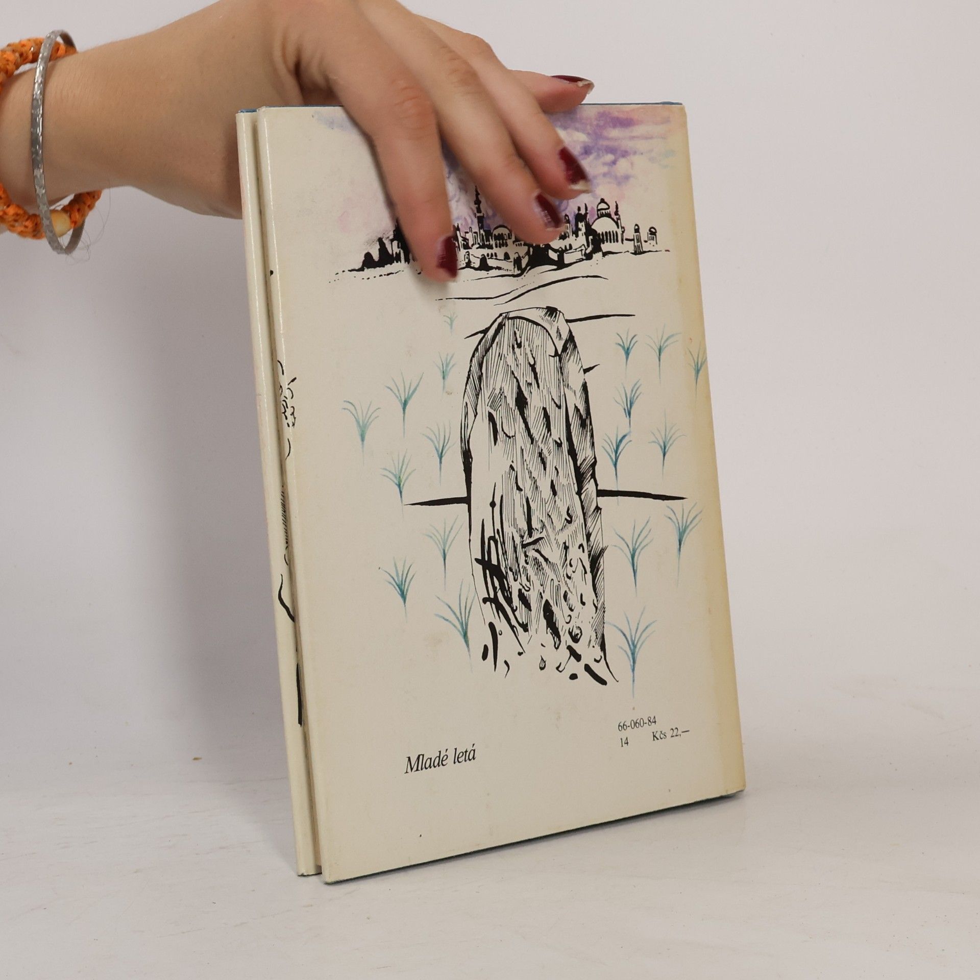 Collectif d'auteurs Turecký šuhaj a krásavica