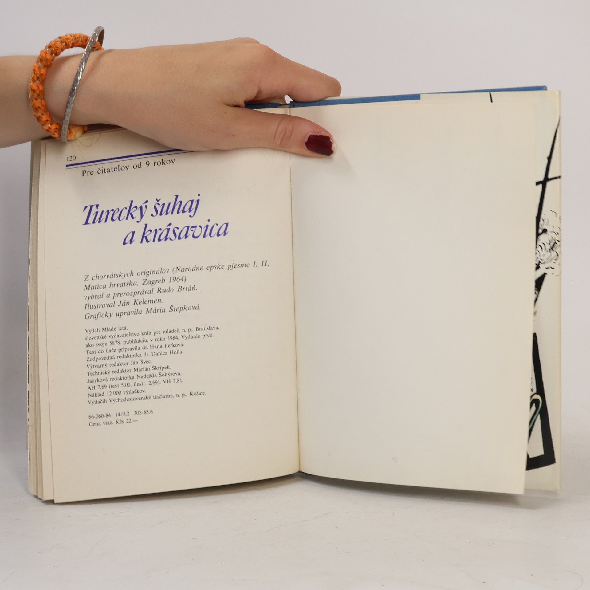 Collectif d'auteurs Turecký šuhaj a krásavica