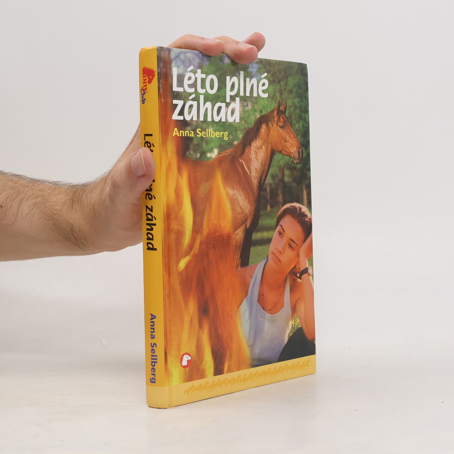 Anna Sellberg Léto plné záhad