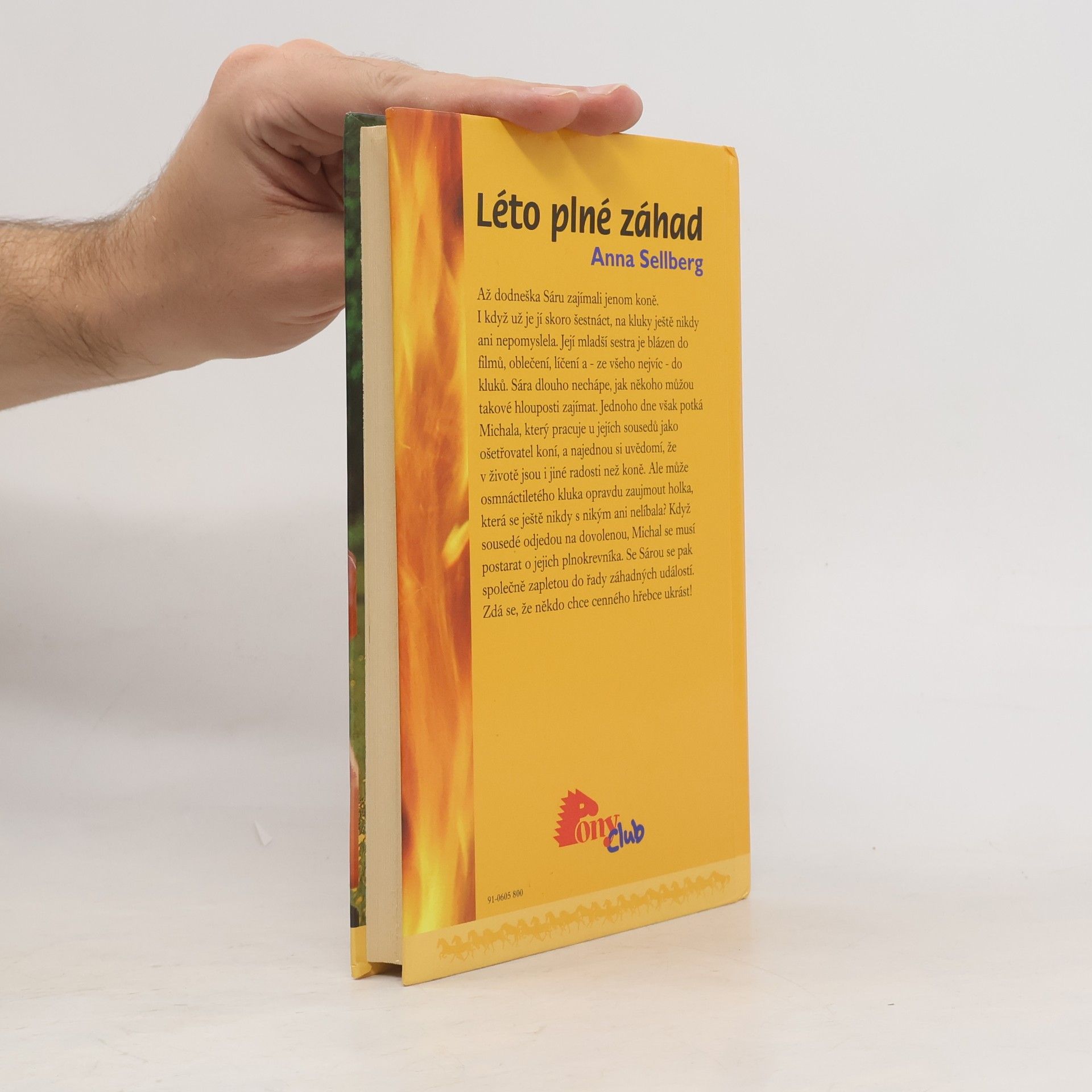 Anna Sellberg Léto plné záhad