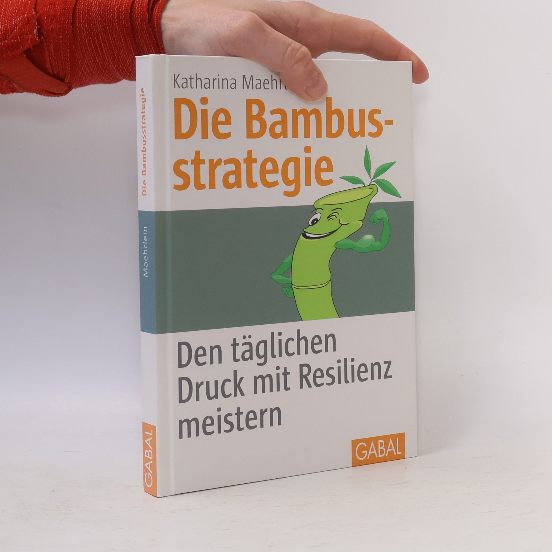 Katharina Maehrlein Die Bambusstrategie