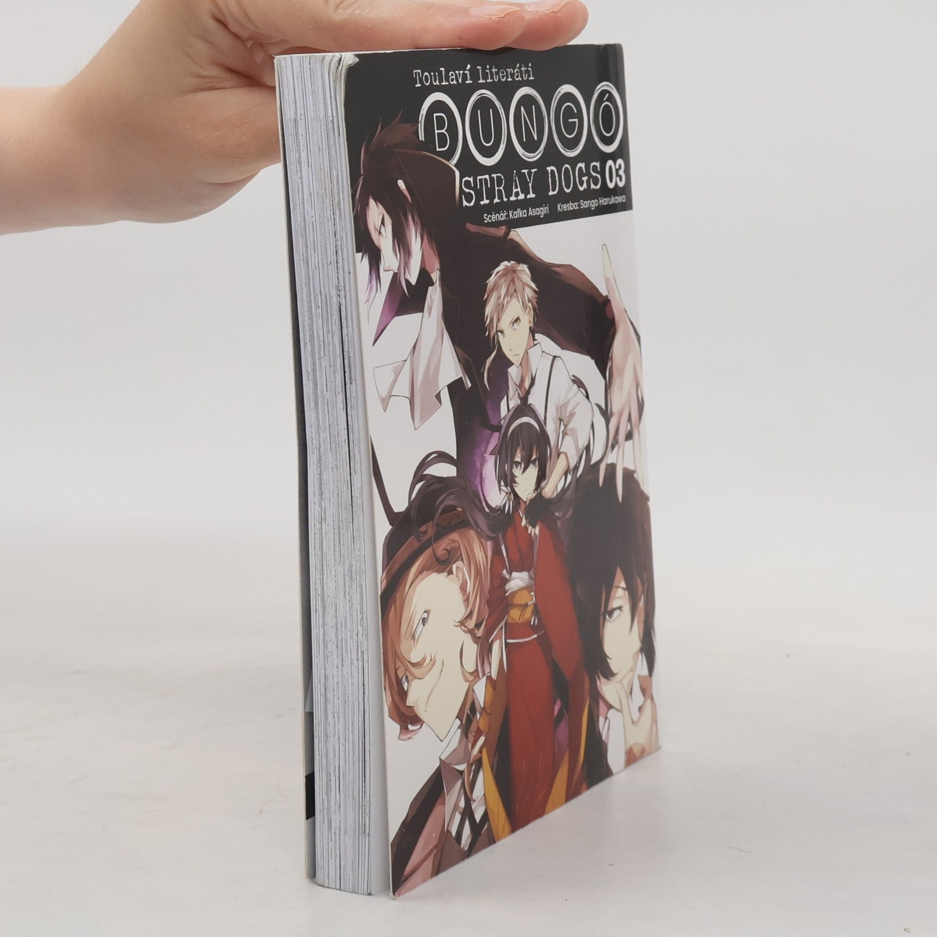 Kafka Asagiri Toulaví literáti 3