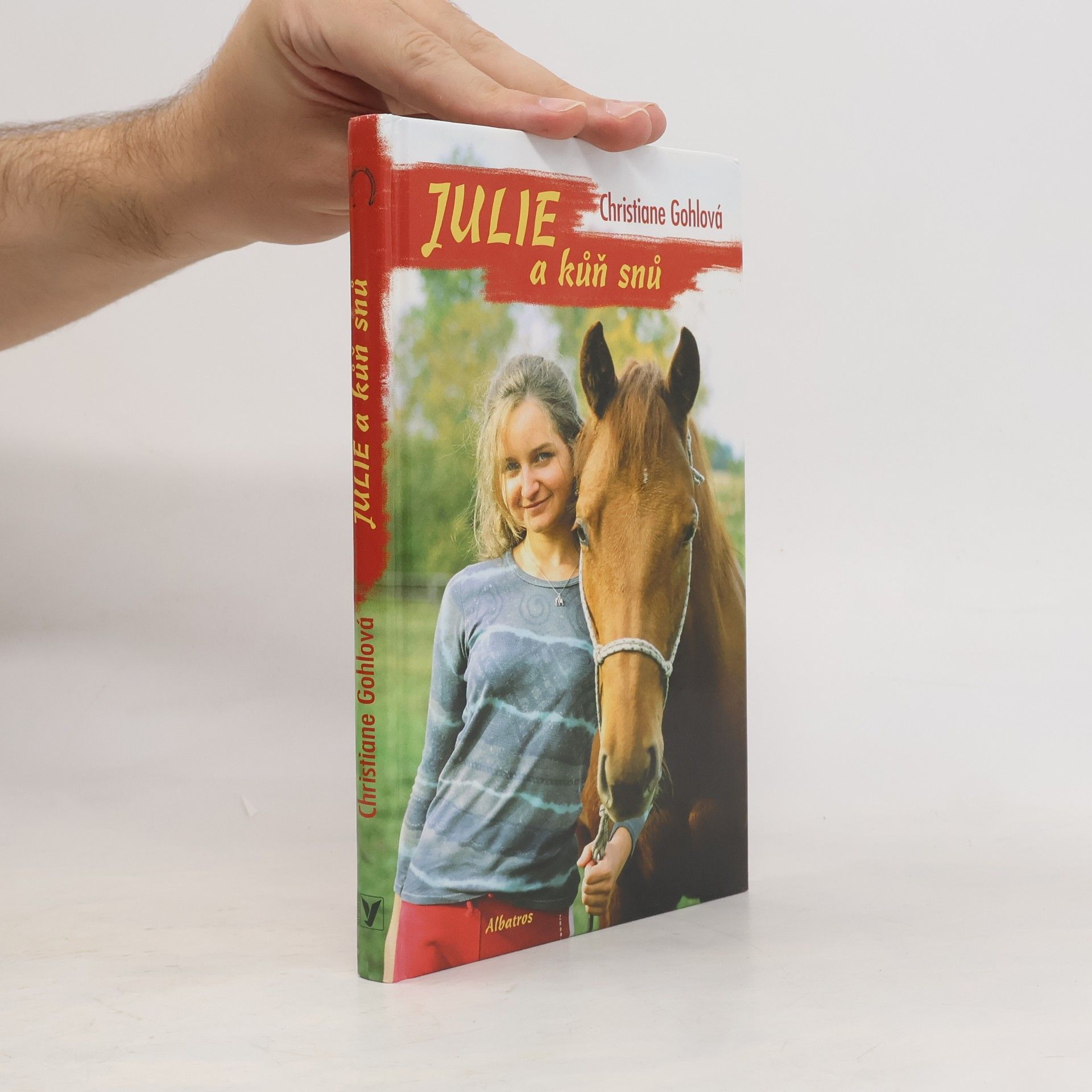 Christiane Gohl Julie a kůň snů
