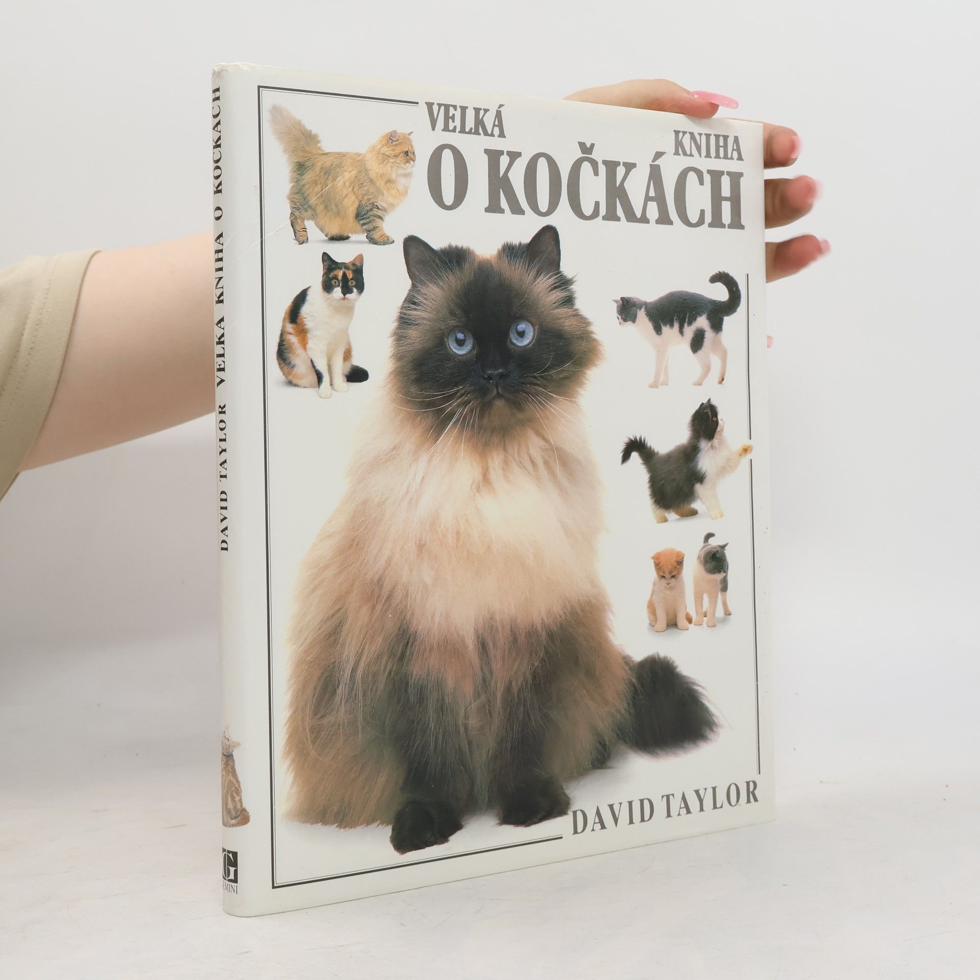 David Taylor Velká kniha o kočkách