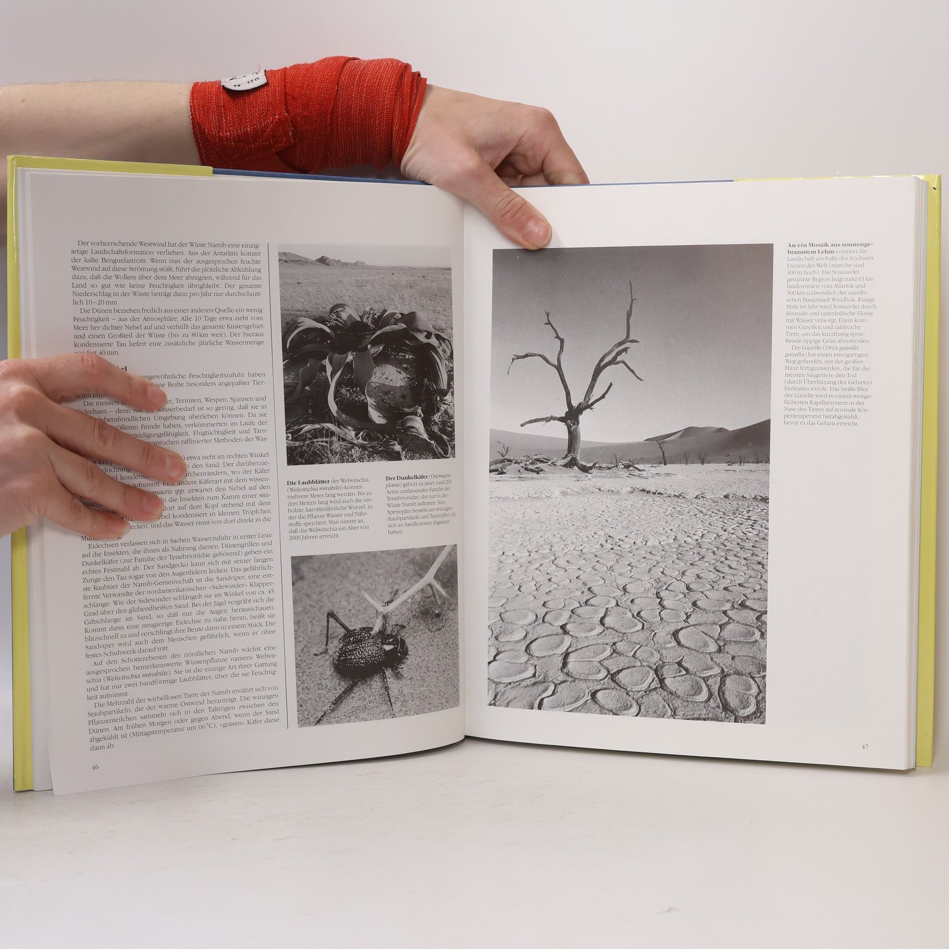 Rupert Matthews Die grossen Naturwunder : Ein Atlas der Naturphänomene unserer Erde