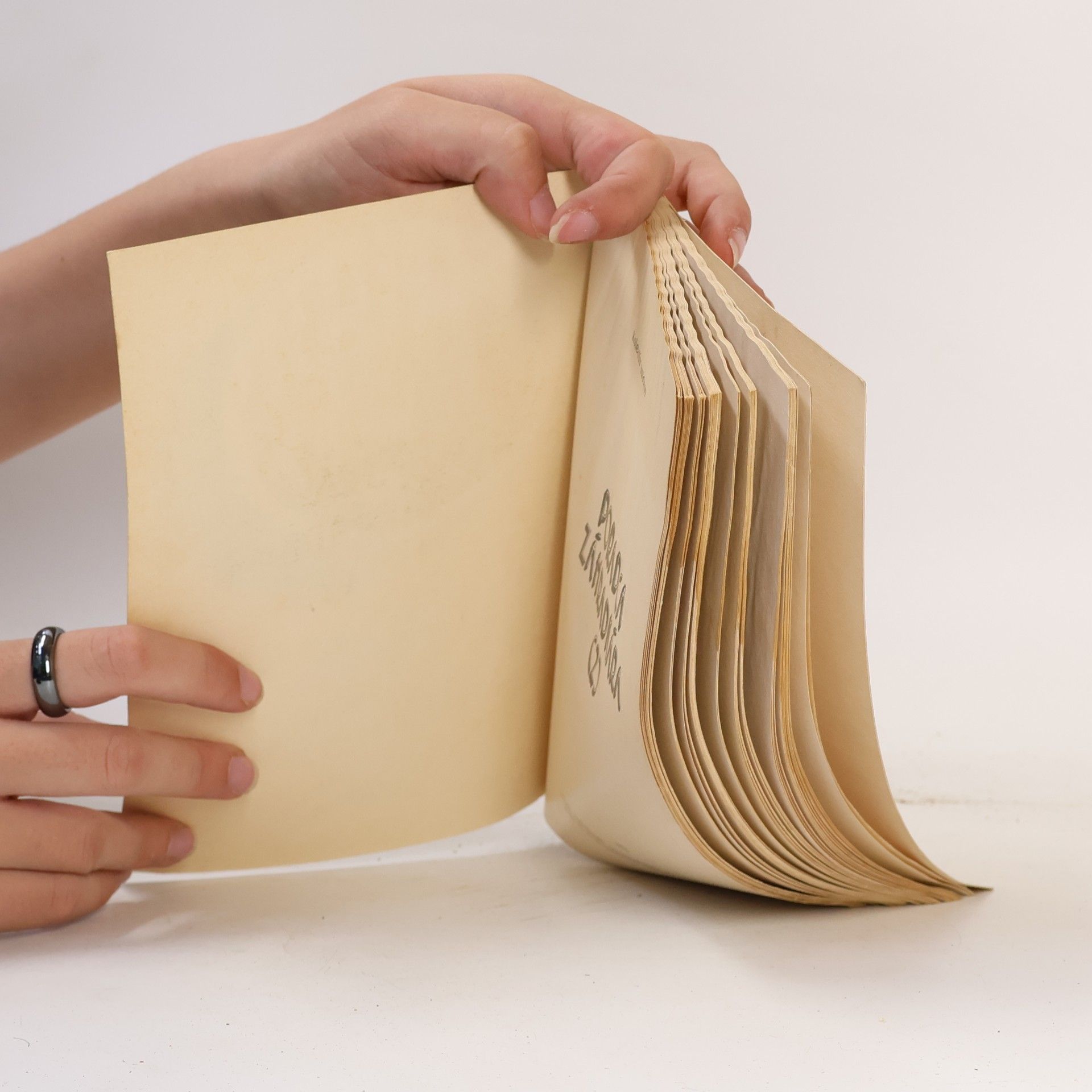 Various authors Poradca záhradkára 2