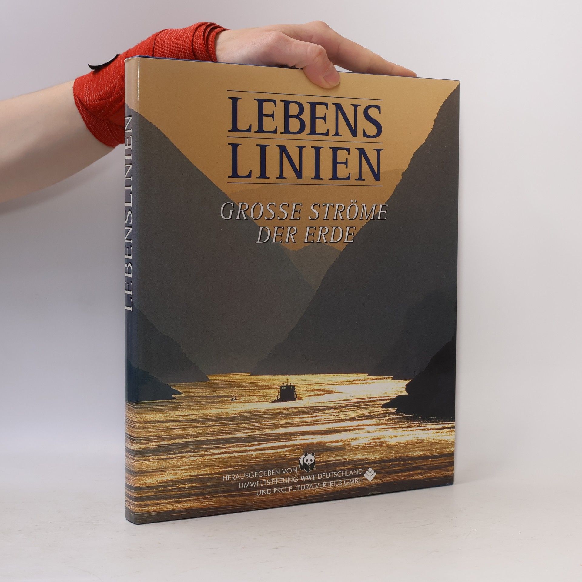 Autorenkollektiv Lebenslinien. Große Ströme der Erde