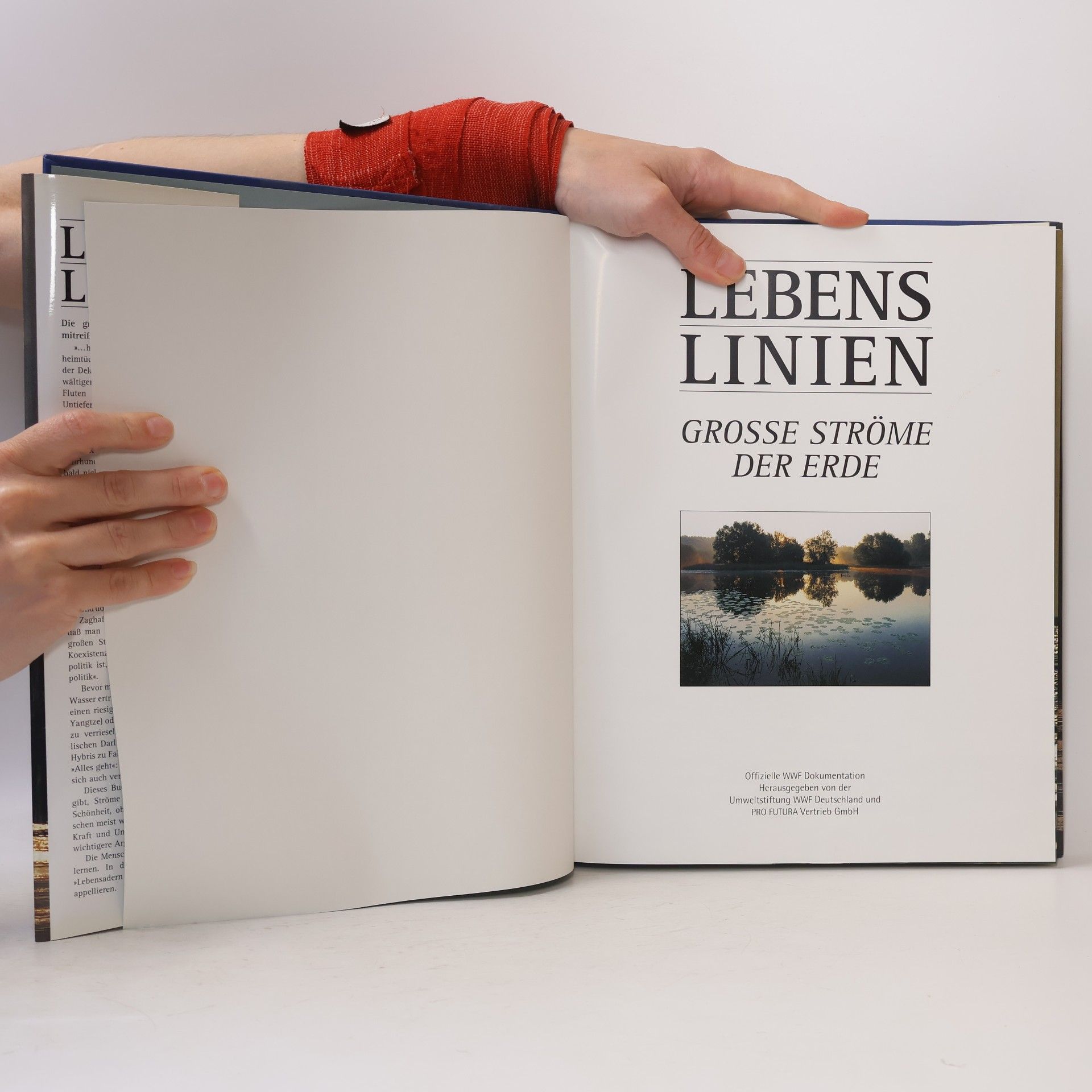 Autorenkollektiv Lebenslinien. Große Ströme der Erde
