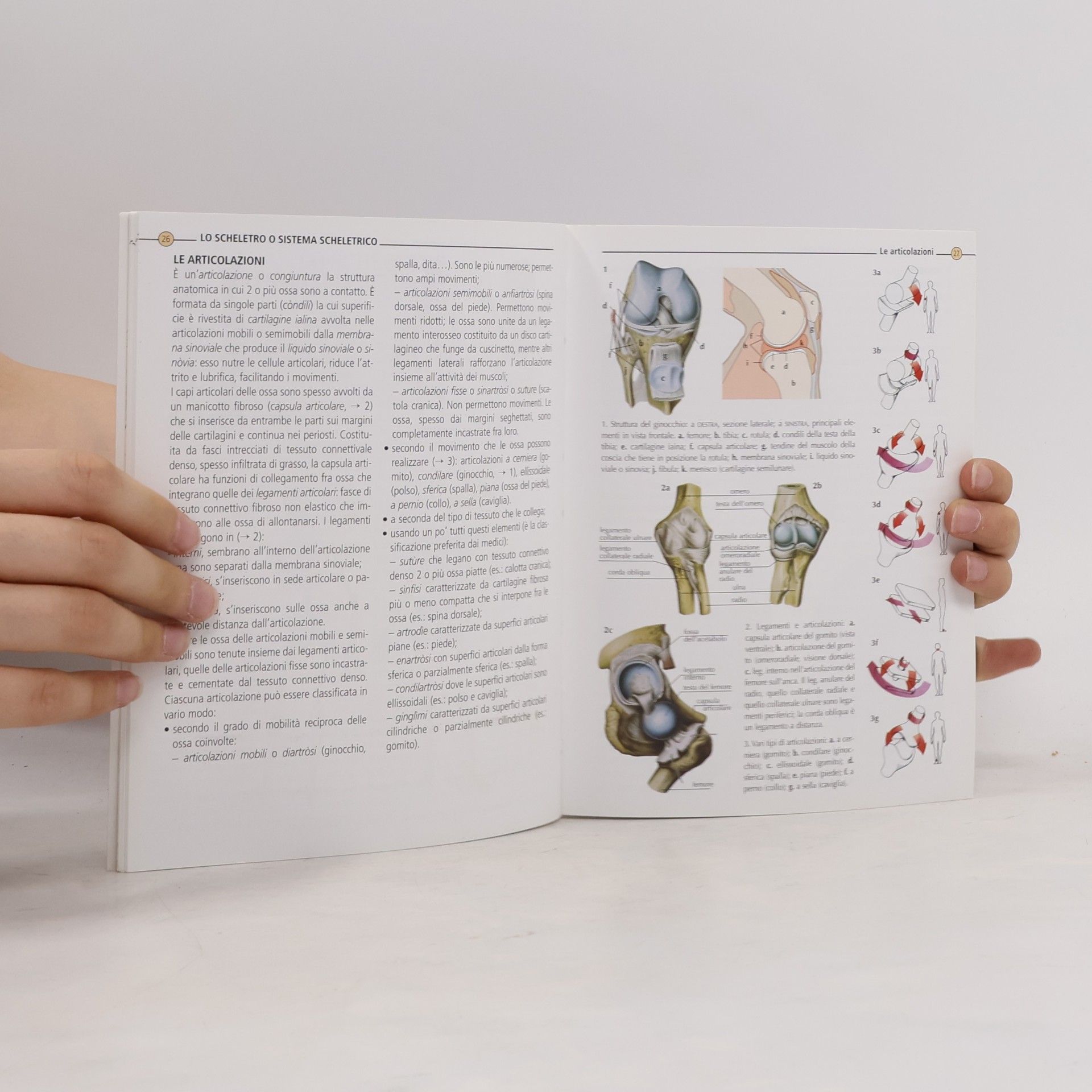 Adriana Rigutti Atlanti Scientifici: Anatomia