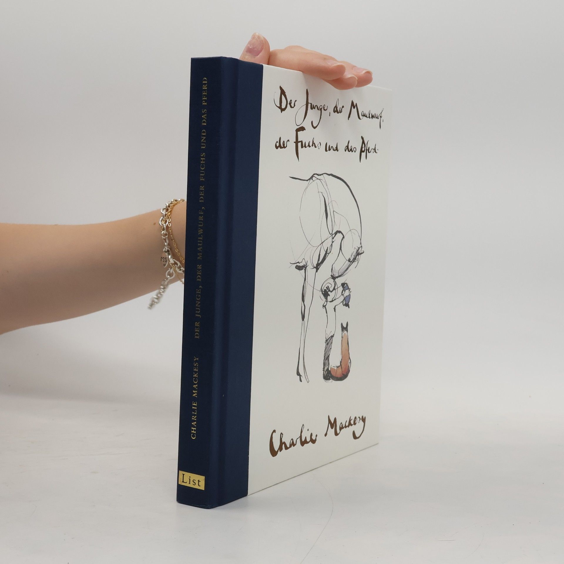 Charlie Mackesy Der Junge, der Maulwurf, der Fuchs und das Pferd