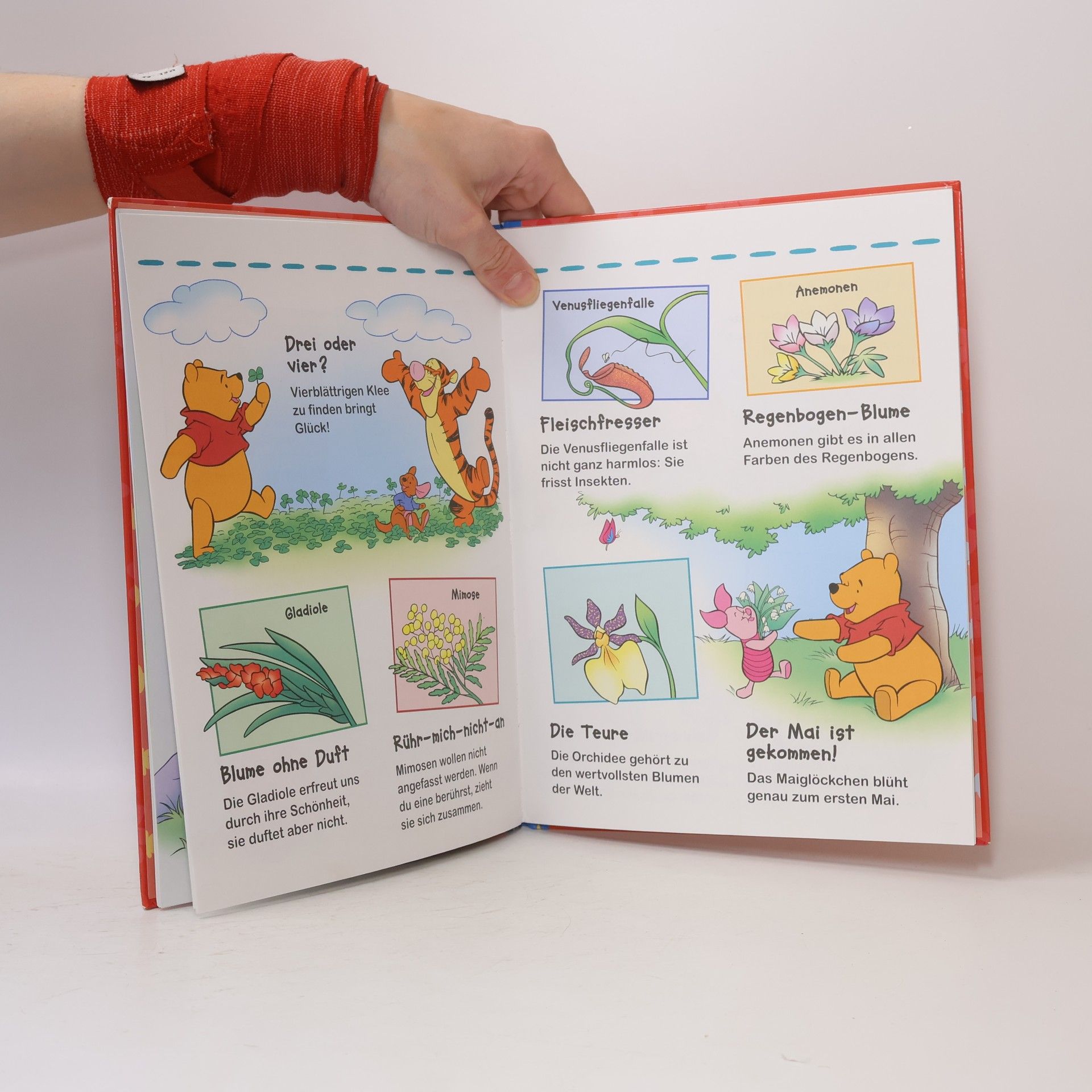 Autorenkollektiv Winnie Puuh. Entdecke Blumen